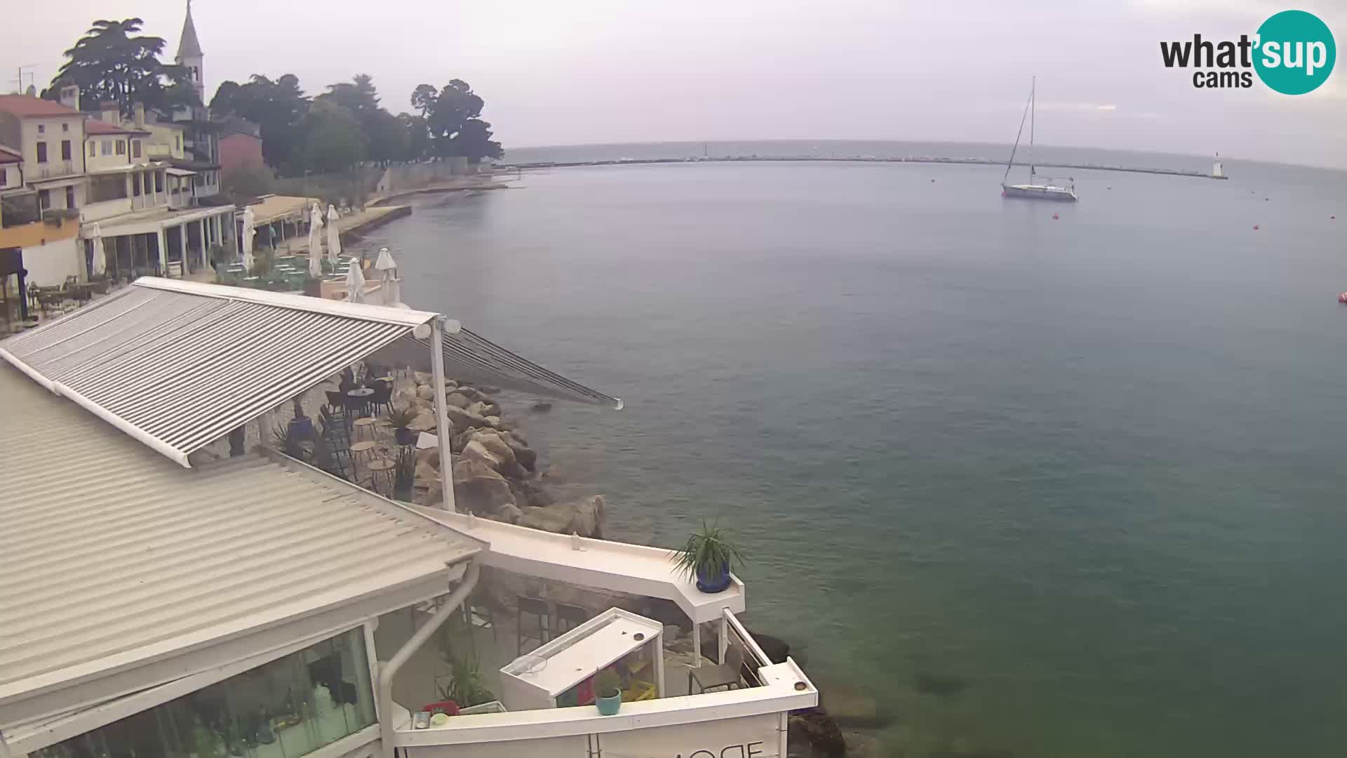 V živo Novigrad – Porporela