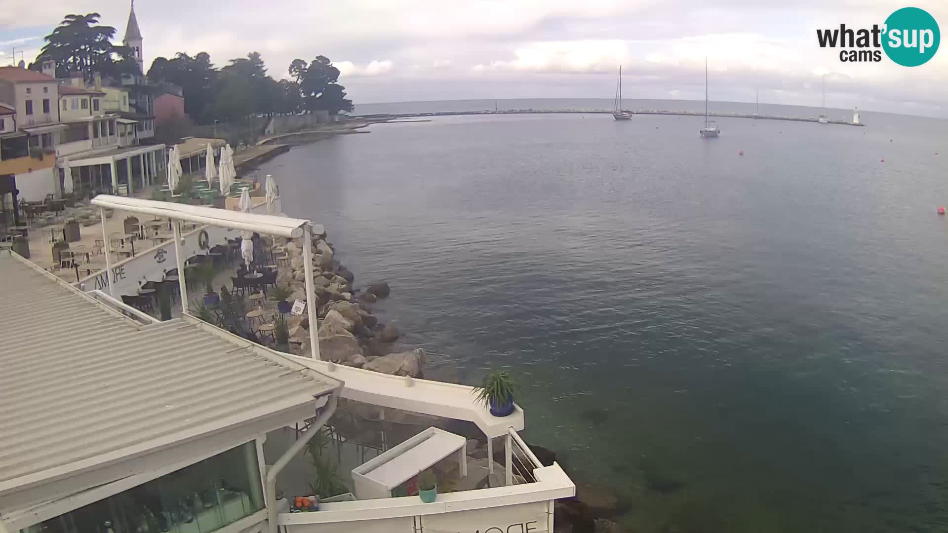 V živo Novigrad – Porporela