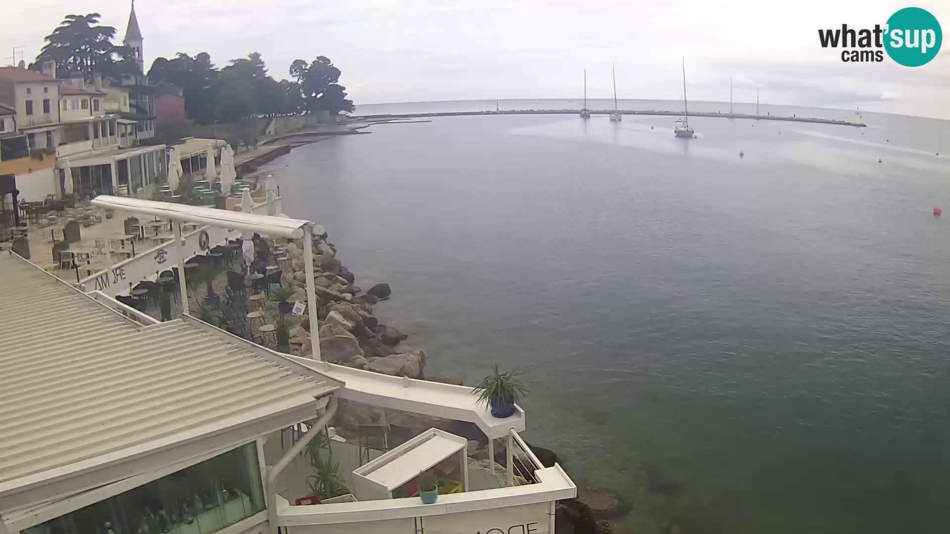 V živo Novigrad – Porporela