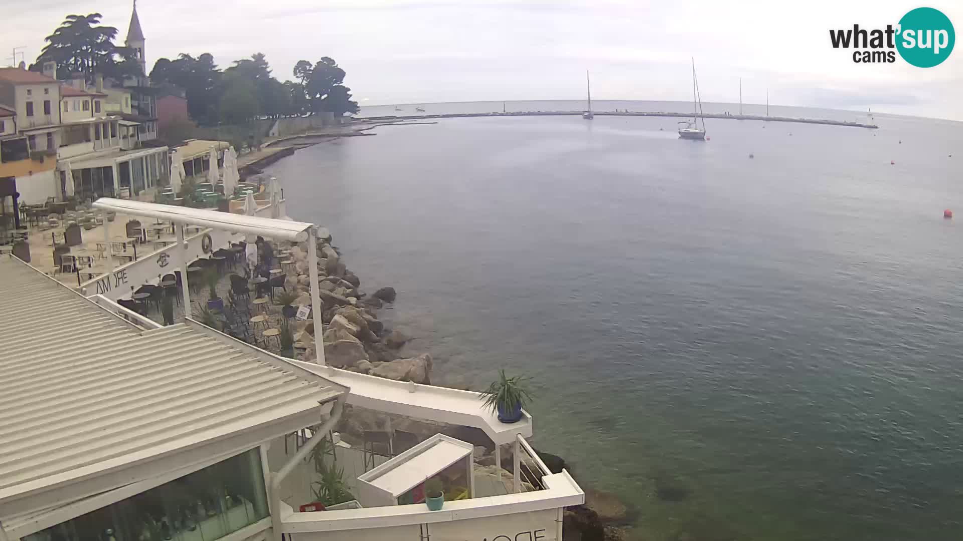 LIVE cam Novigrad – Porporela
