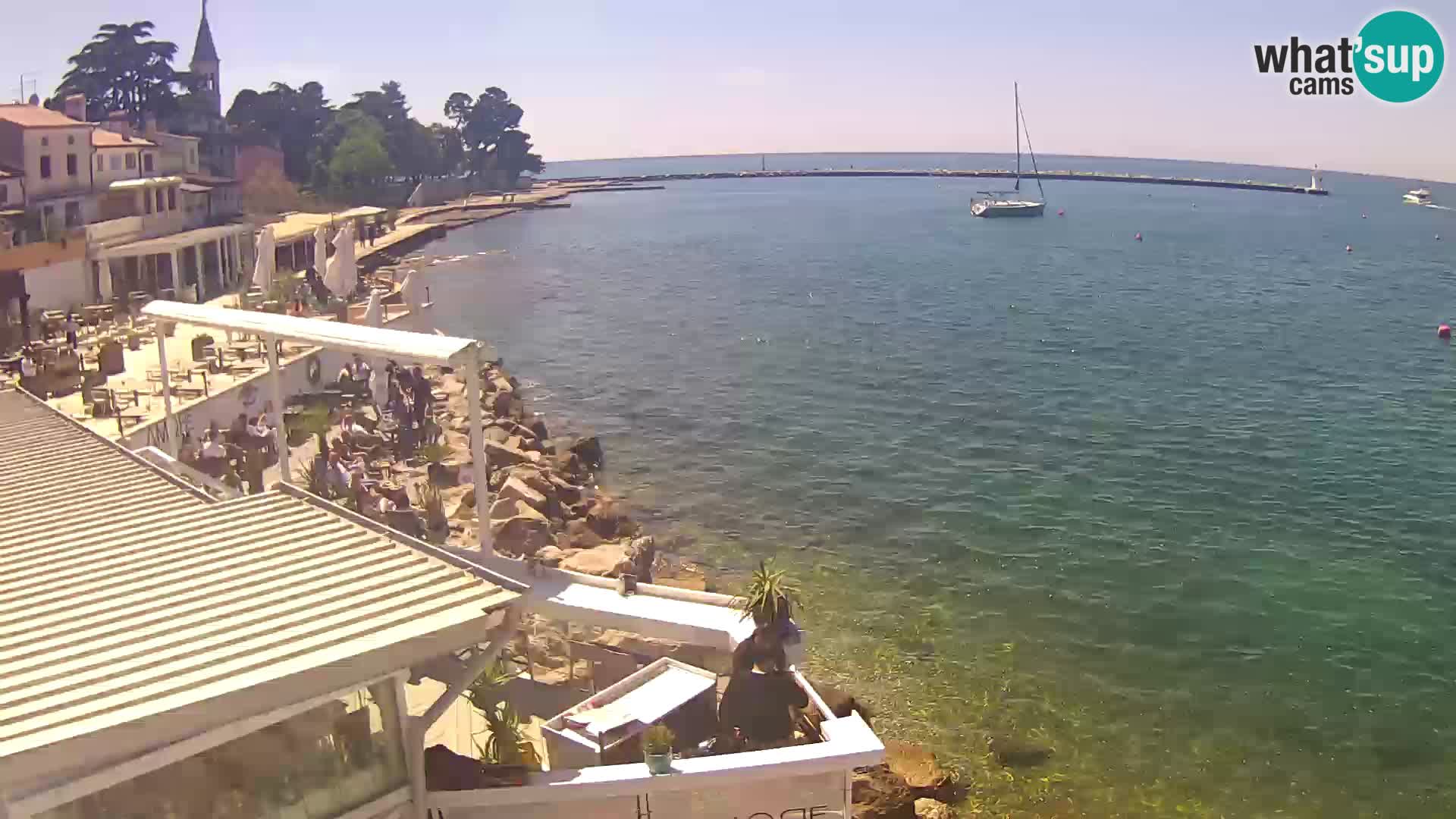 Novigrad live webcam – Porporela