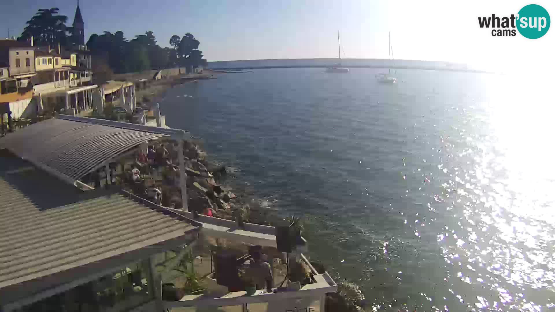 V živo Novigrad – Porporela