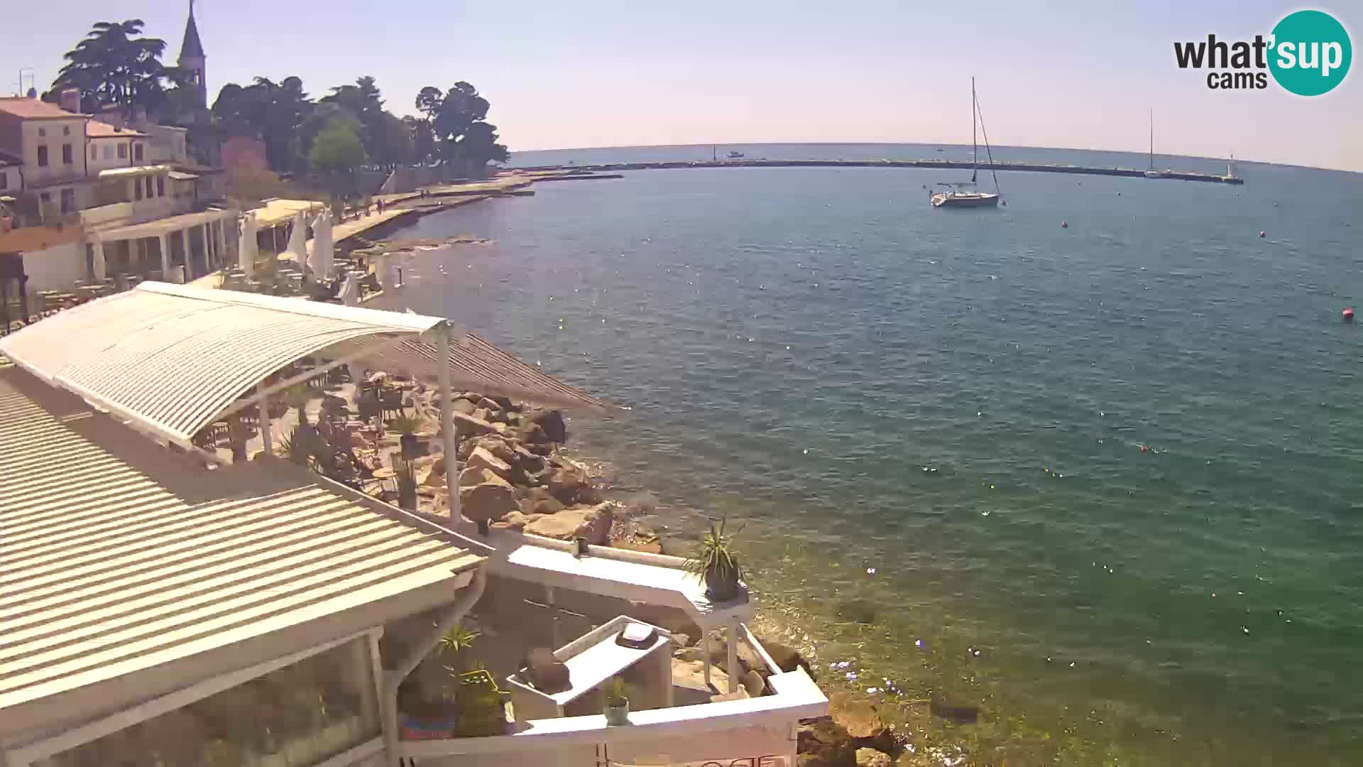 LIVE cam Novigrad – Porporela
