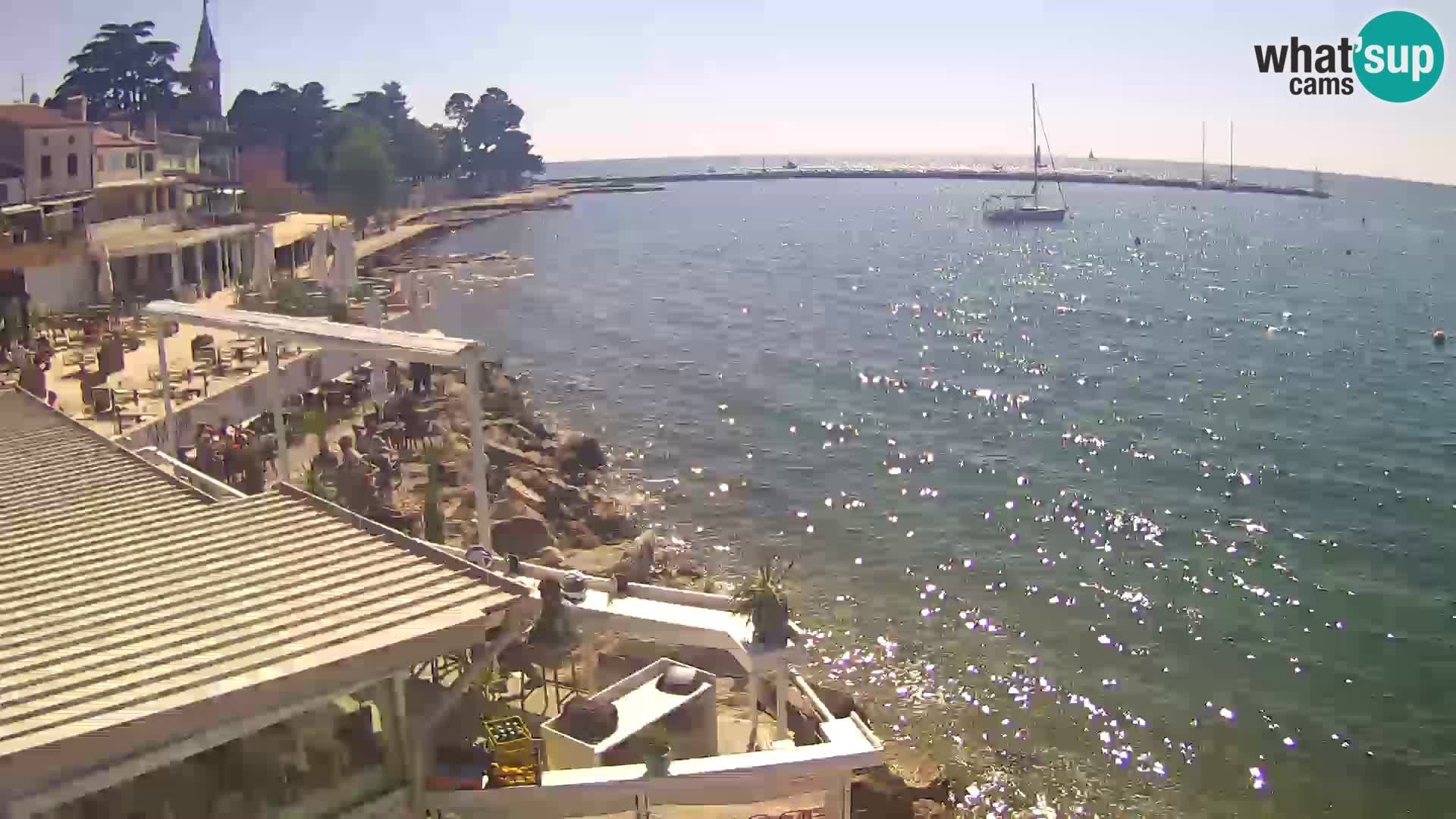 V živo Novigrad – Porporela