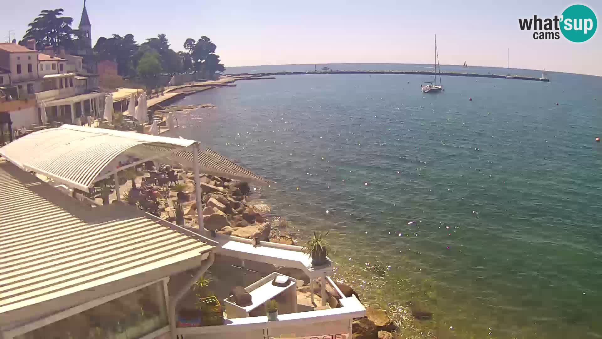 LIVE cam Novigrad – Porporela