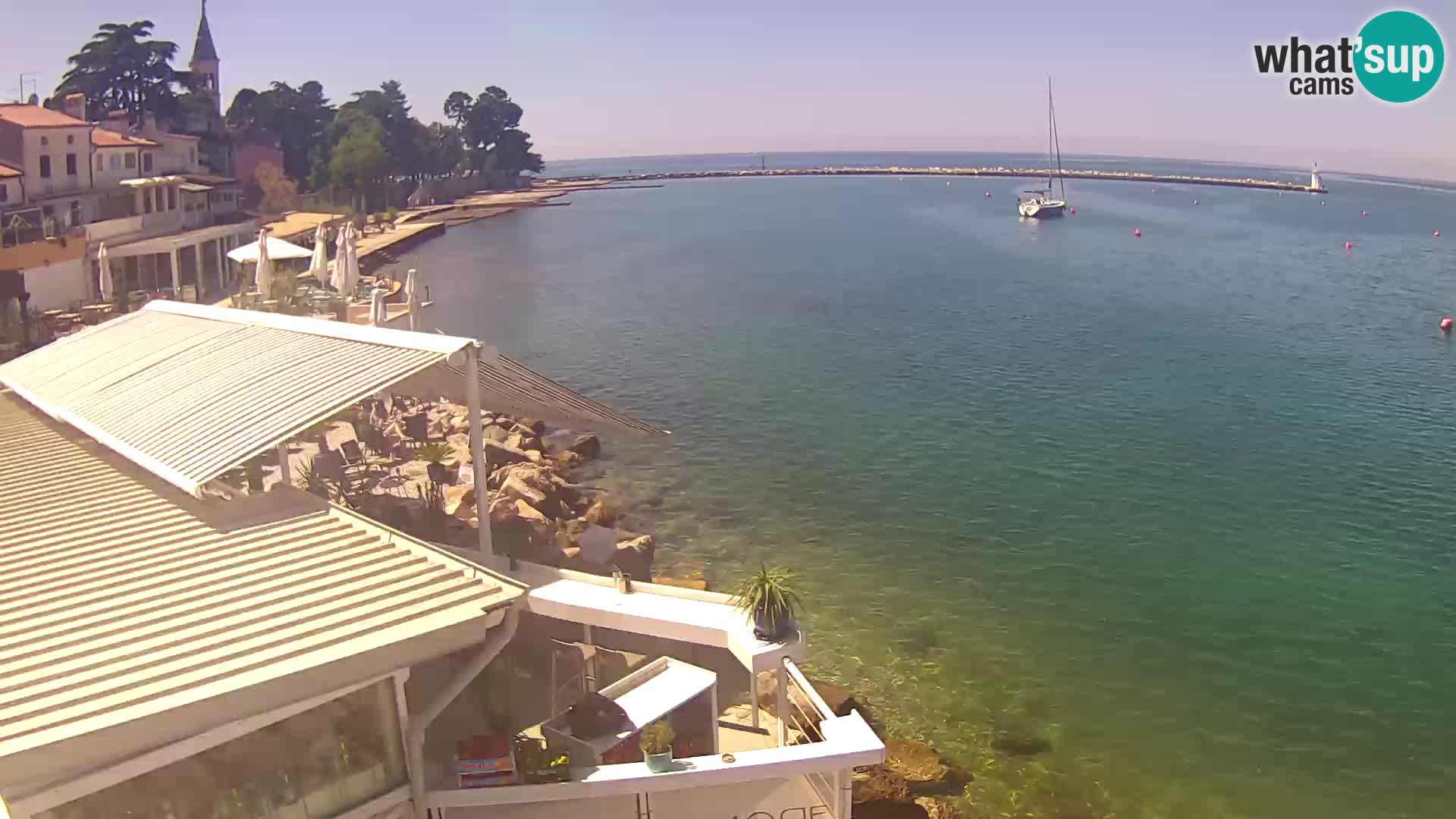 V živo Novigrad – Porporela