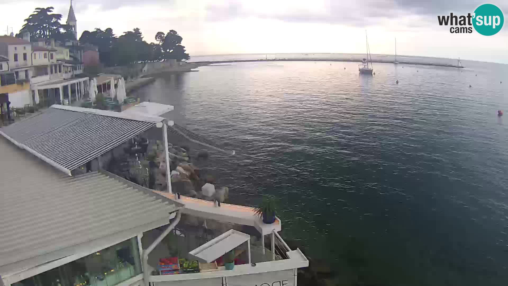 LIVE cam Novigrad – Porporela