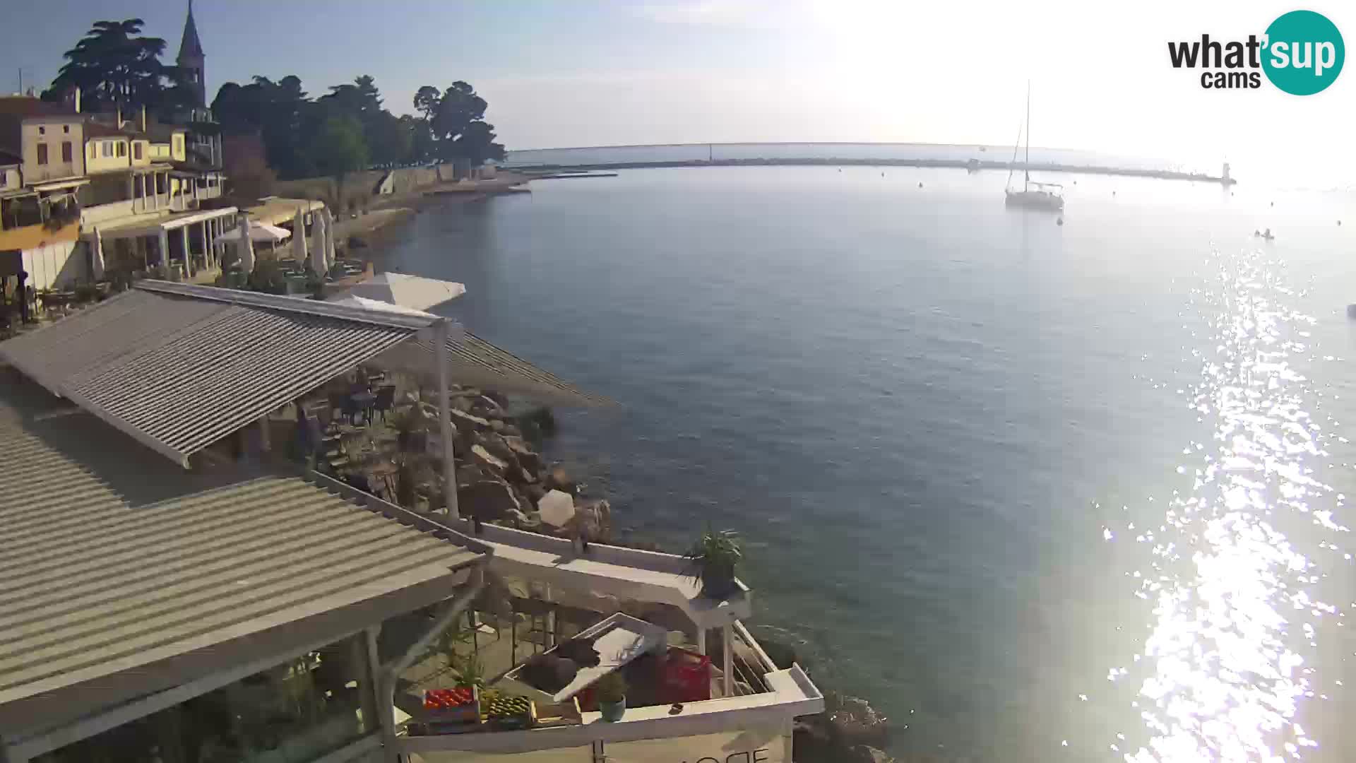 V živo Novigrad – Porporela