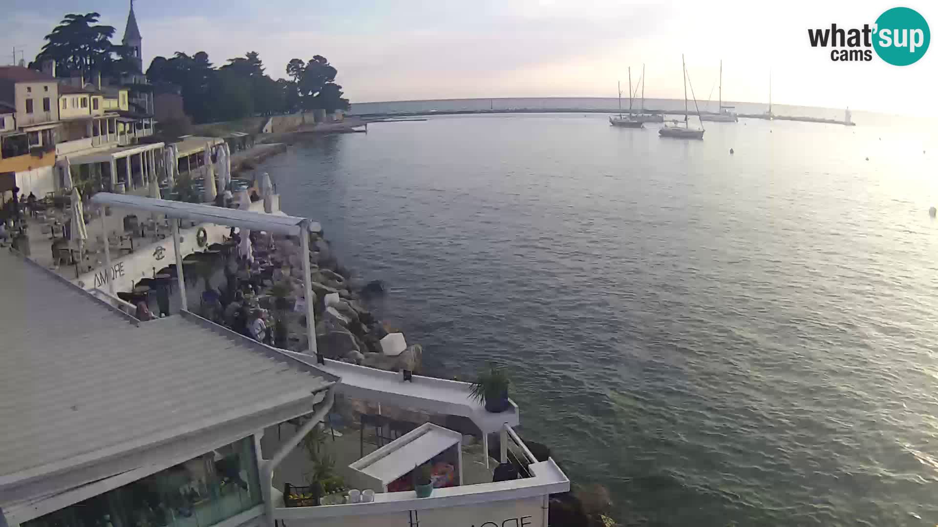 V živo Novigrad – Porporela