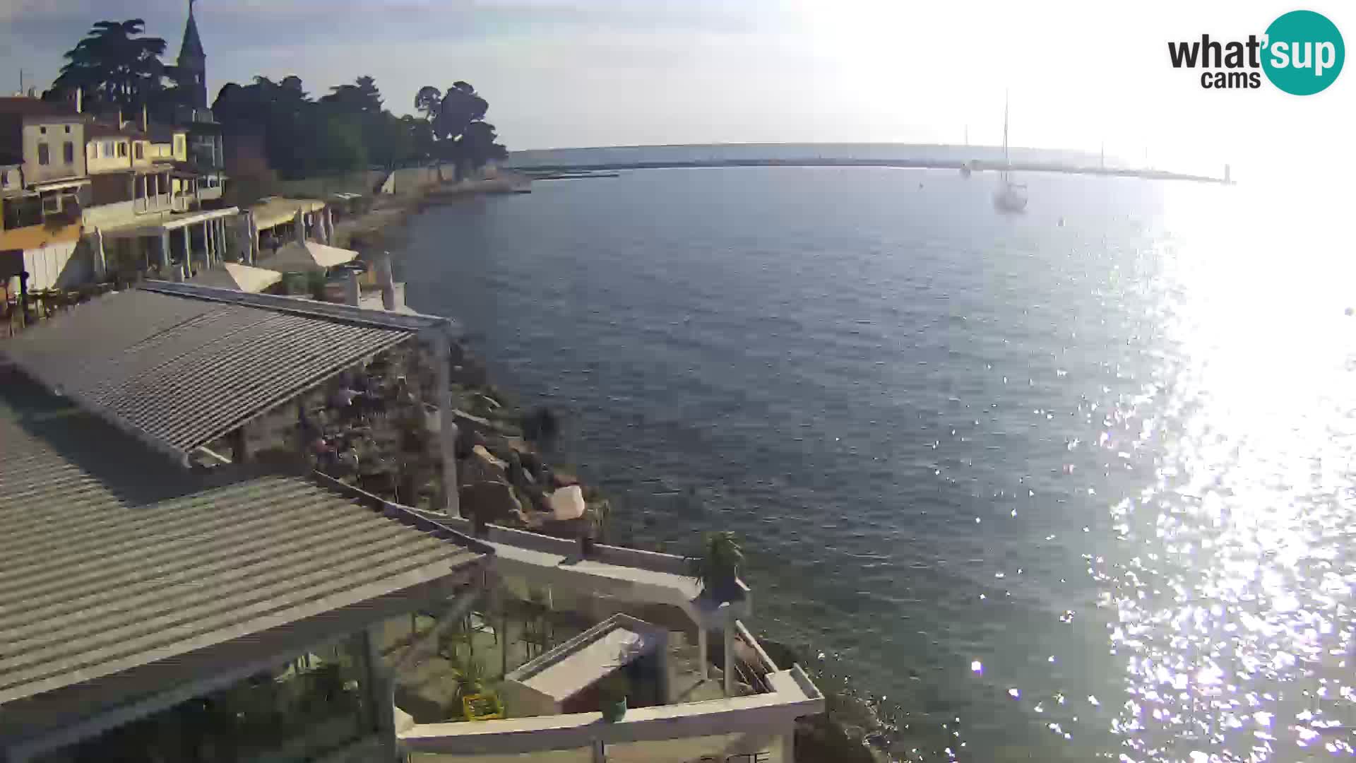 V živo Novigrad – Porporela