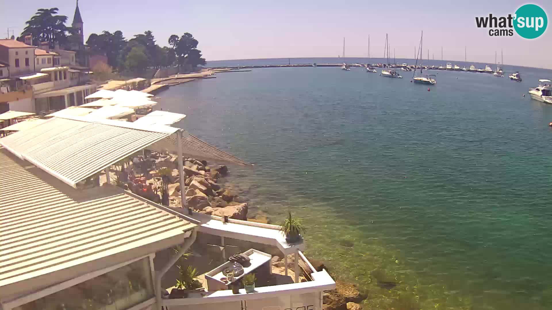 V živo Novigrad – Porporela