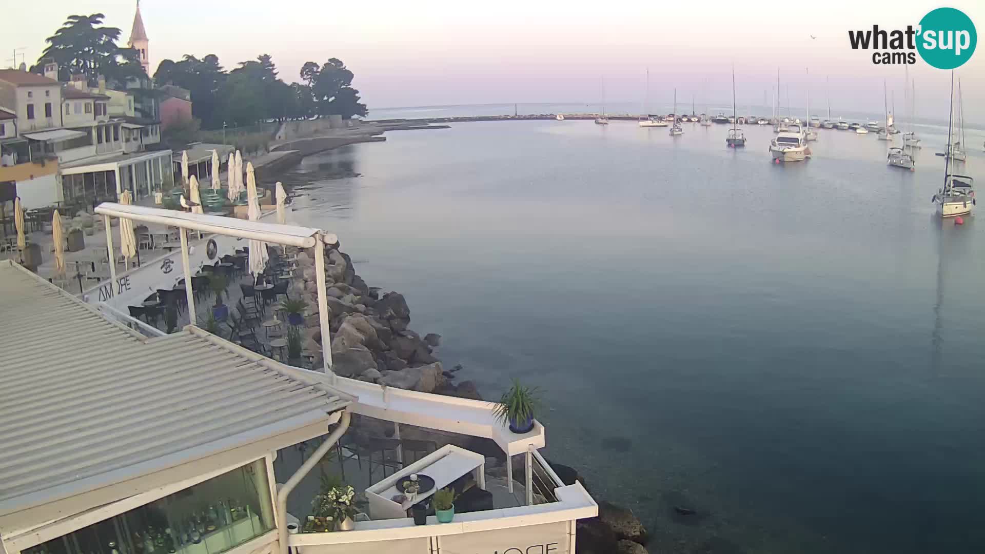 LIVE cam Novigrad – Porporela