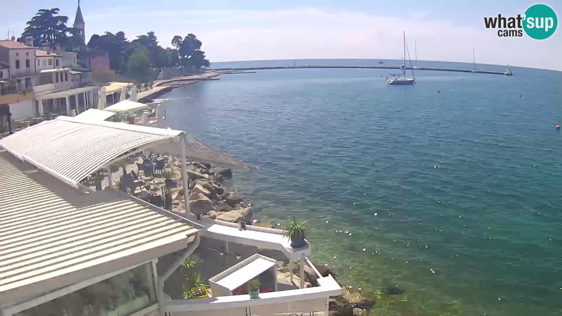V živo Novigrad – Porporela