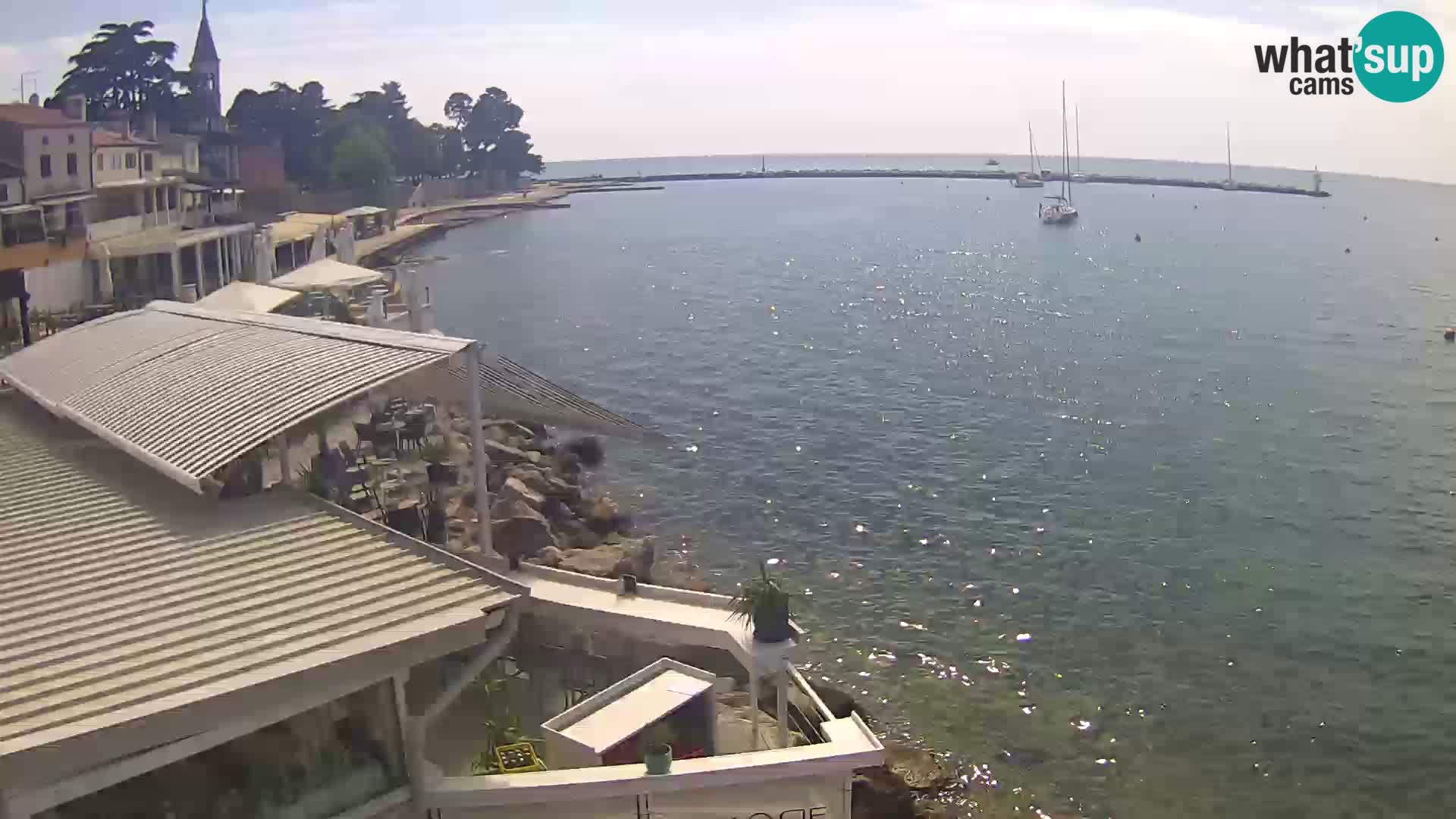 V živo Novigrad – Porporela