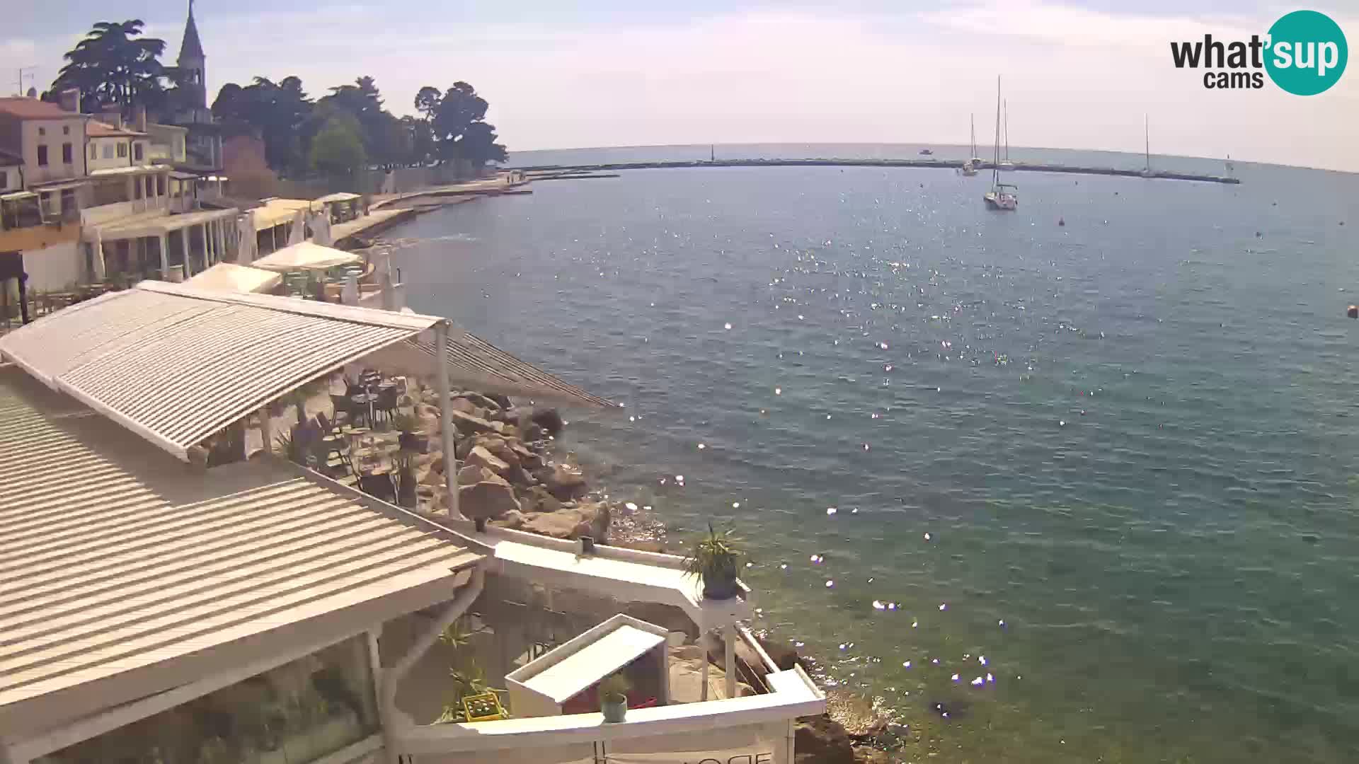 V živo Novigrad – Porporela