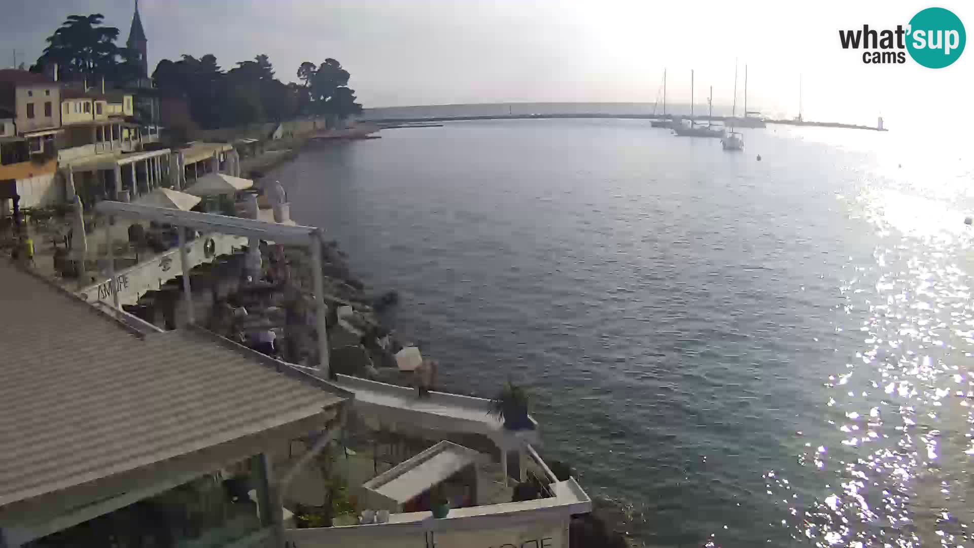 LIVE cam Novigrad – Porporela