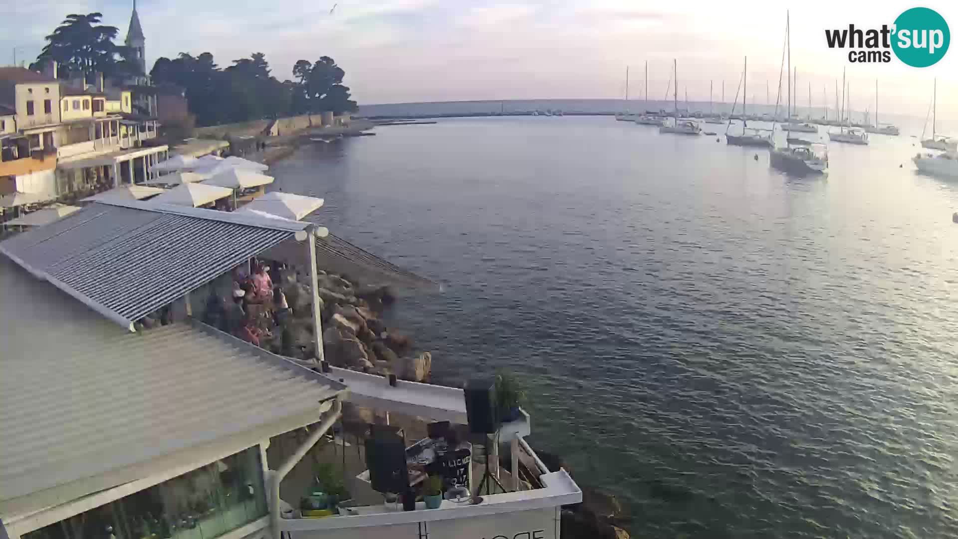 V živo Novigrad – Porporela