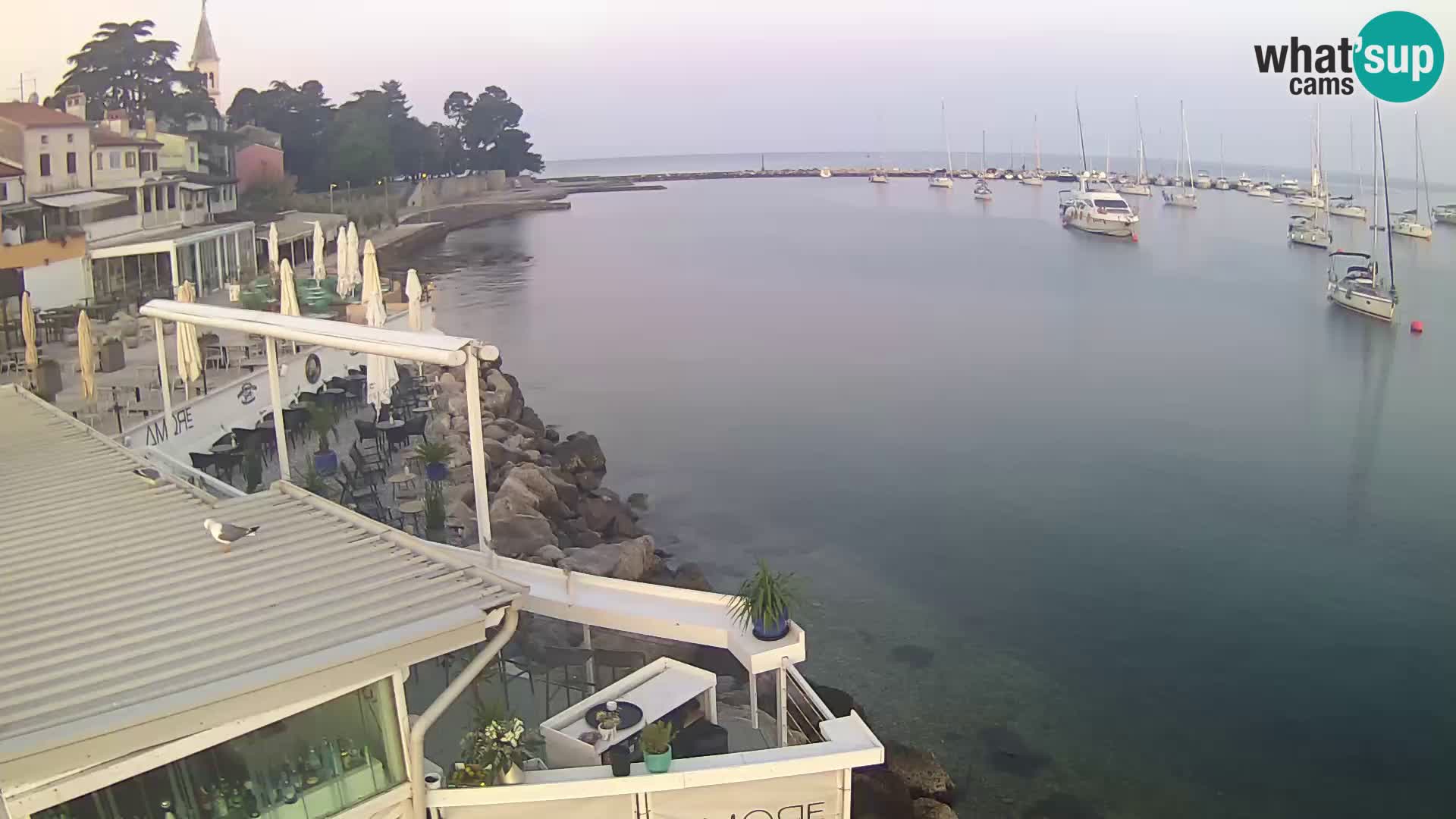 Live webcam Novigrad – Porporela – Istria – Croatia