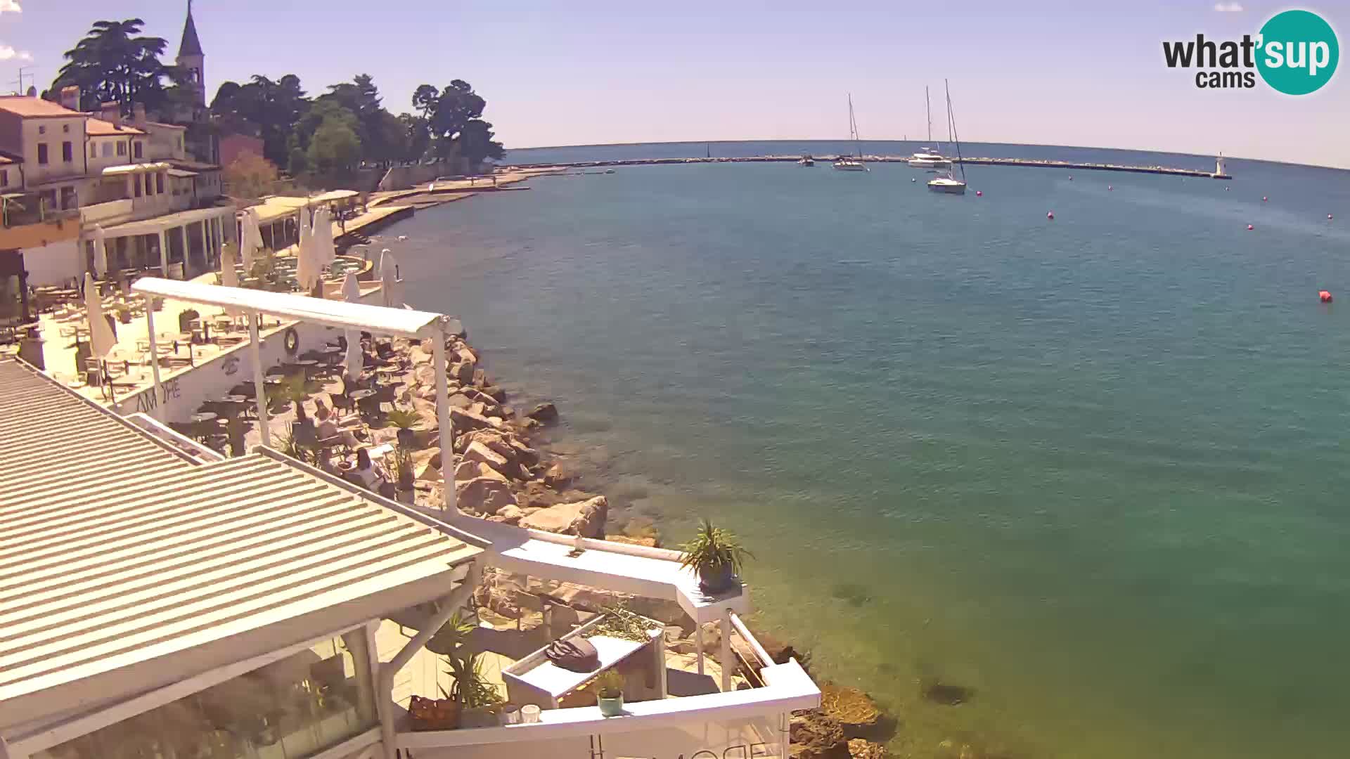 V živo Novigrad – Porporela