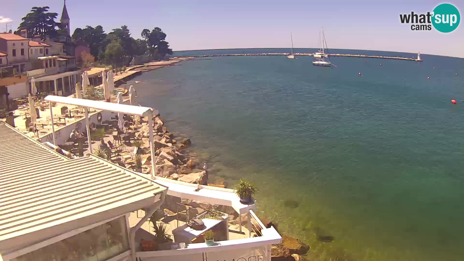 V živo Novigrad – Porporela
