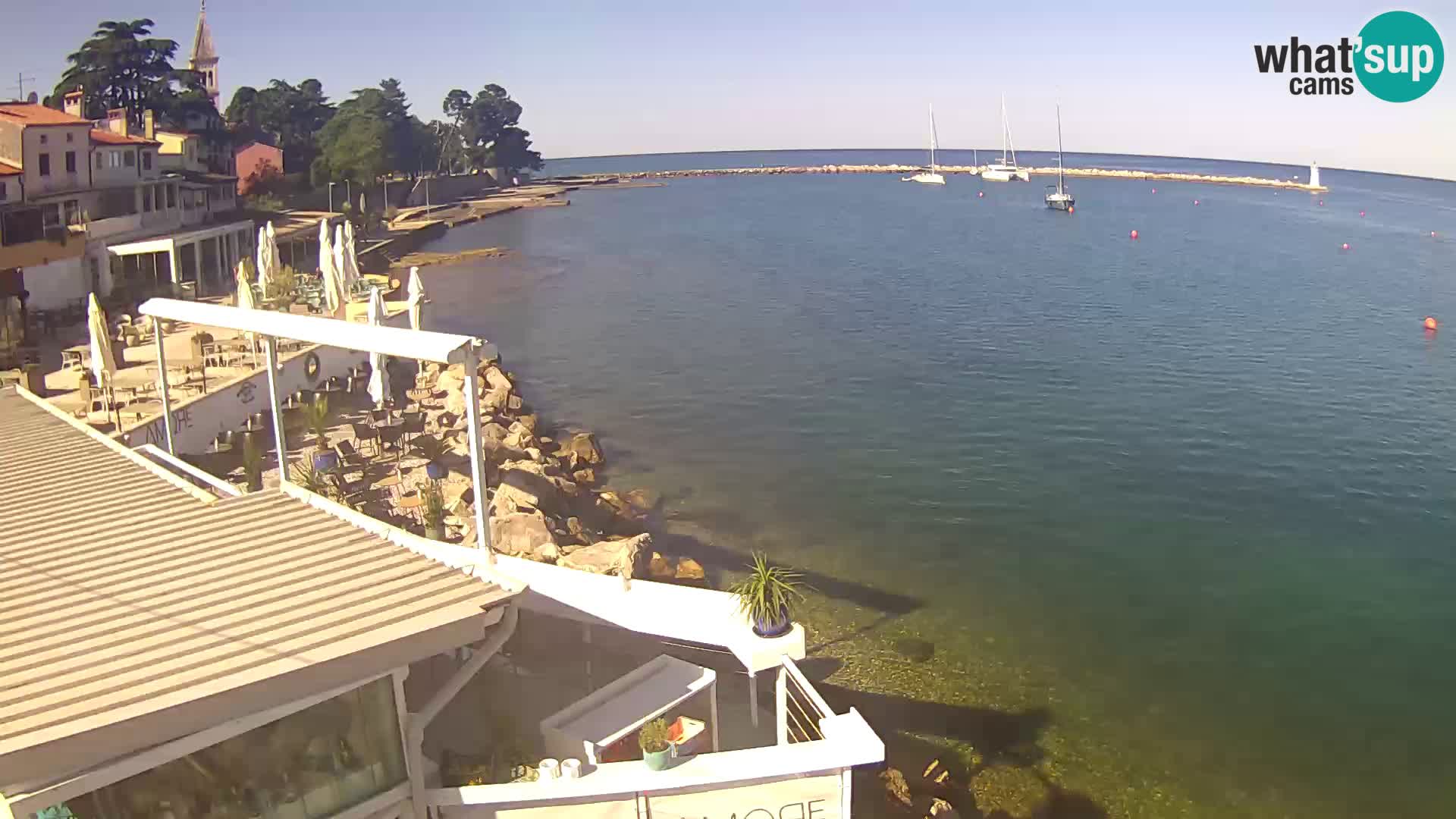 V živo Novigrad – Porporela