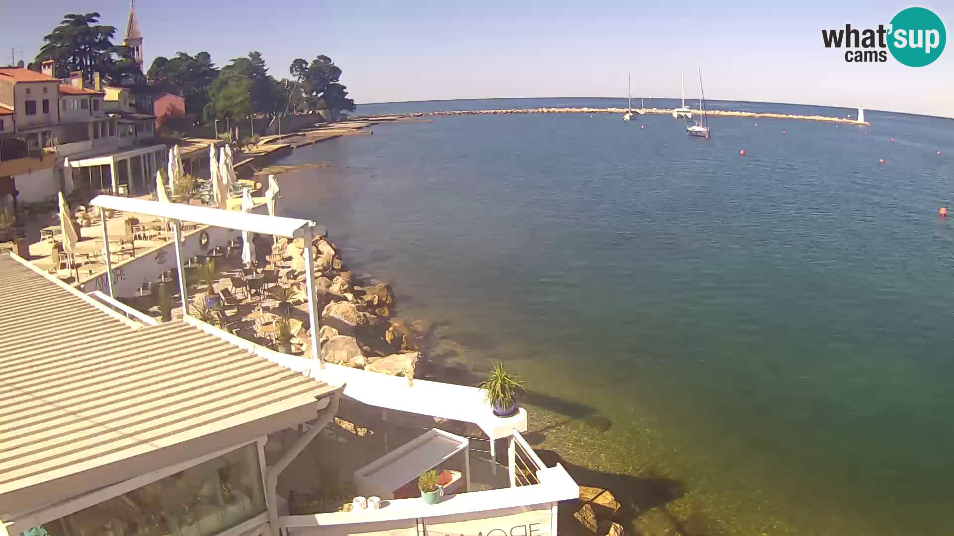 V živo Novigrad – Porporela