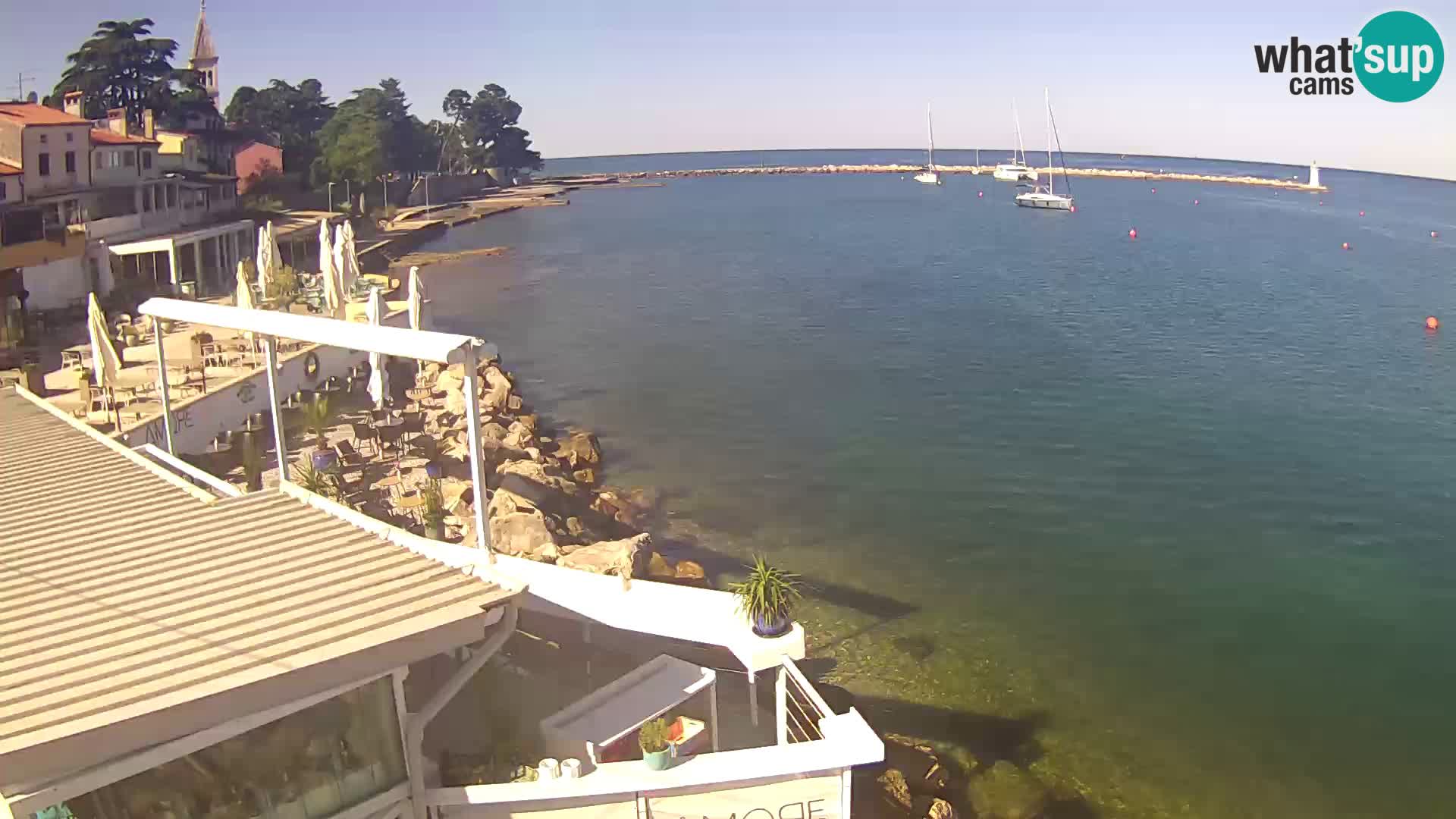 V živo Novigrad – Porporela
