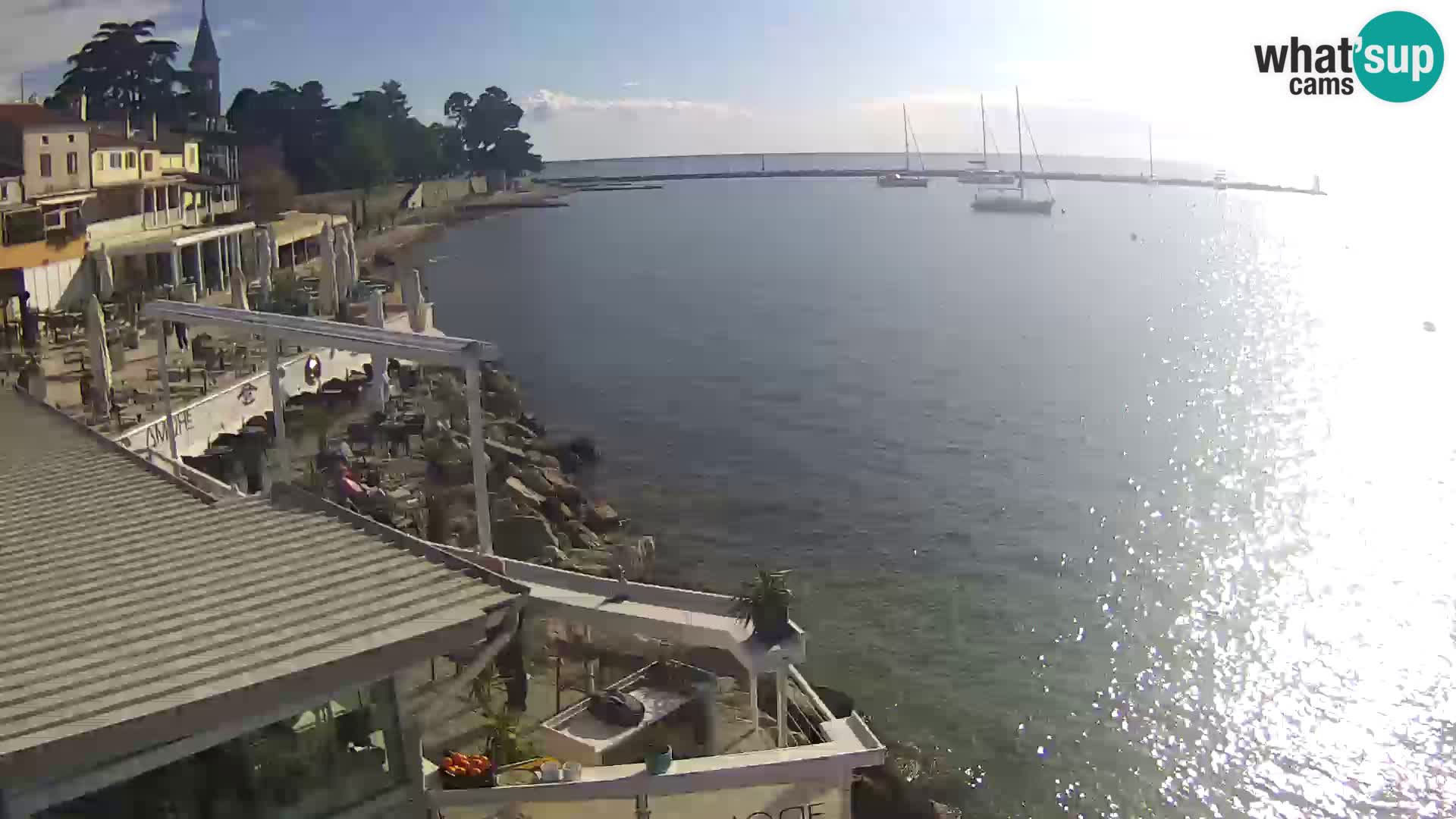 V živo Novigrad – Porporela