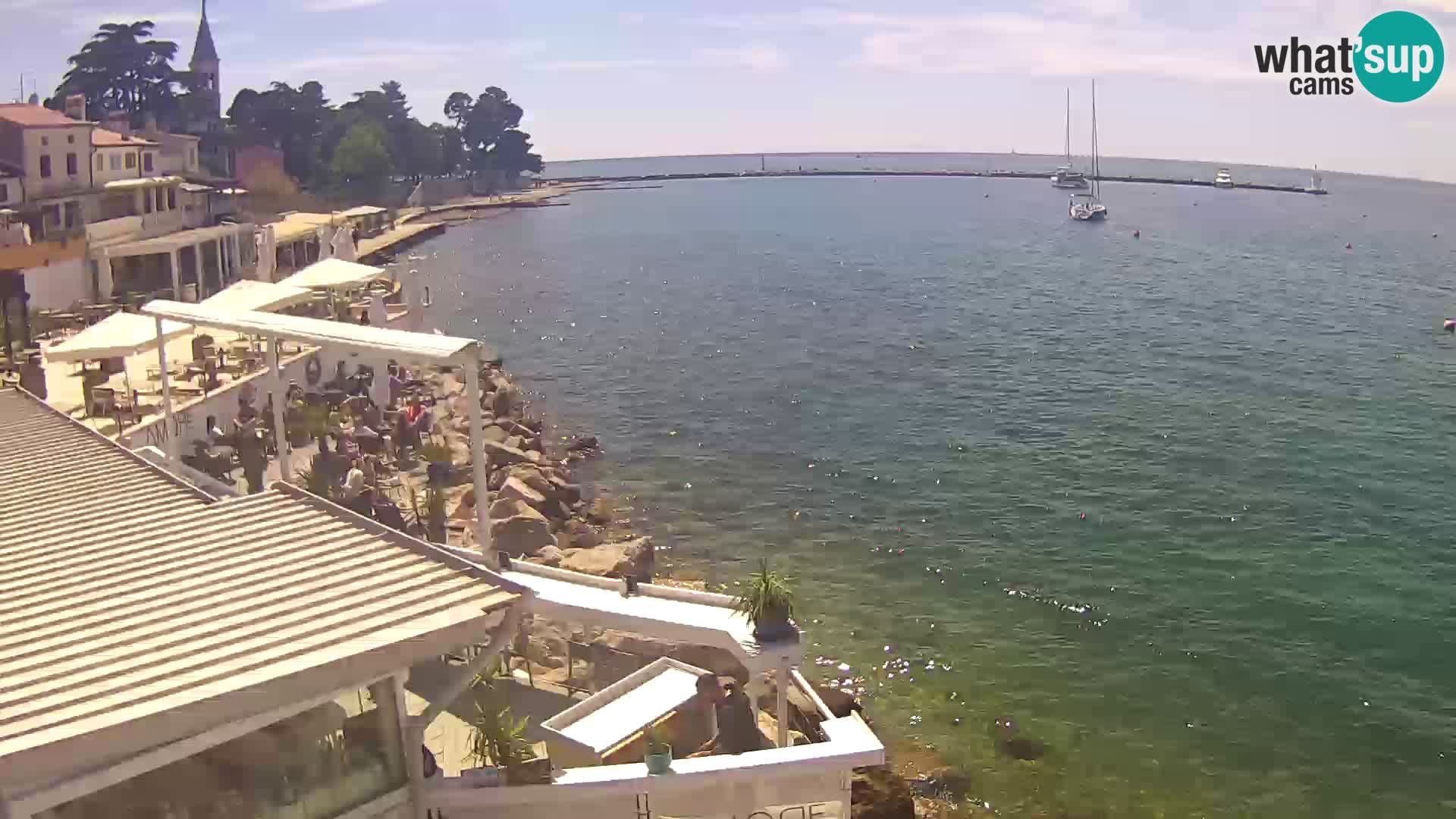 Live webcam Novigrad – Porporela – Istria – Croatia