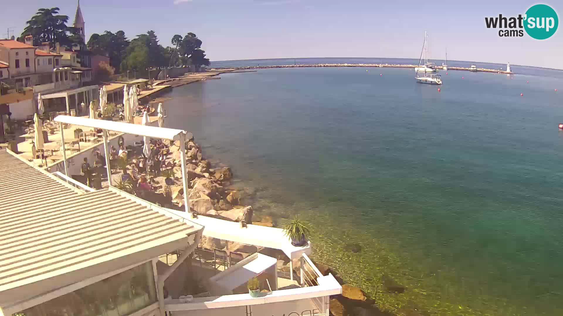 V živo Novigrad – Porporela