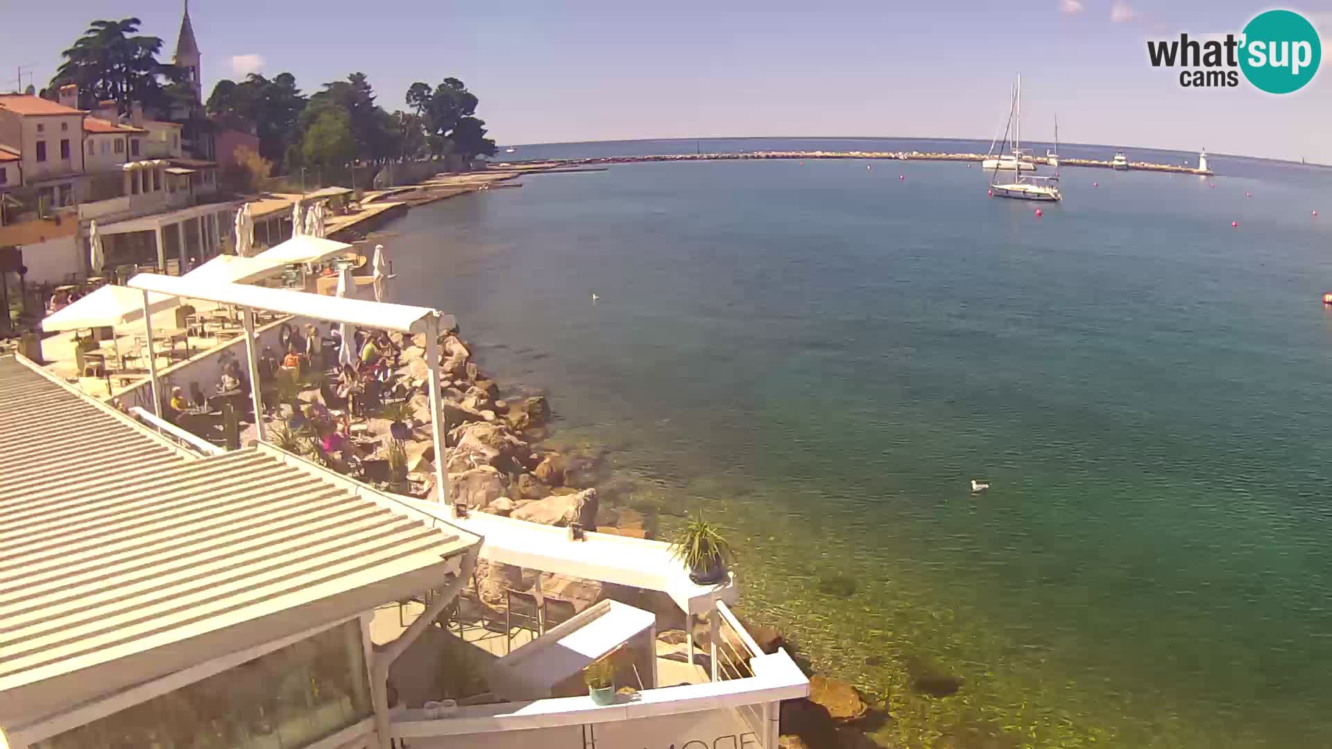 V živo Novigrad – Porporela