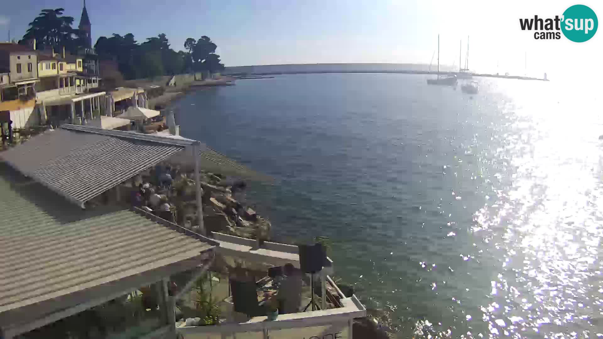 Live webcam Novigrad – Porporela – Istria – Croatia