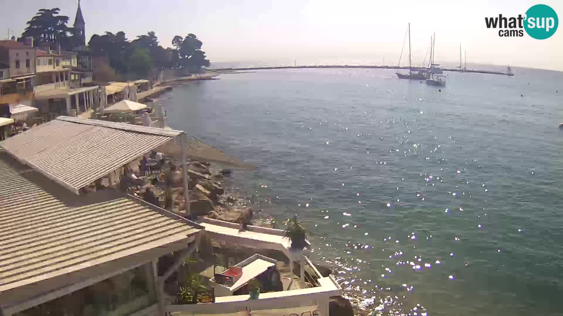 Live webcam Novigrad – Porporela – Istria – Croatia