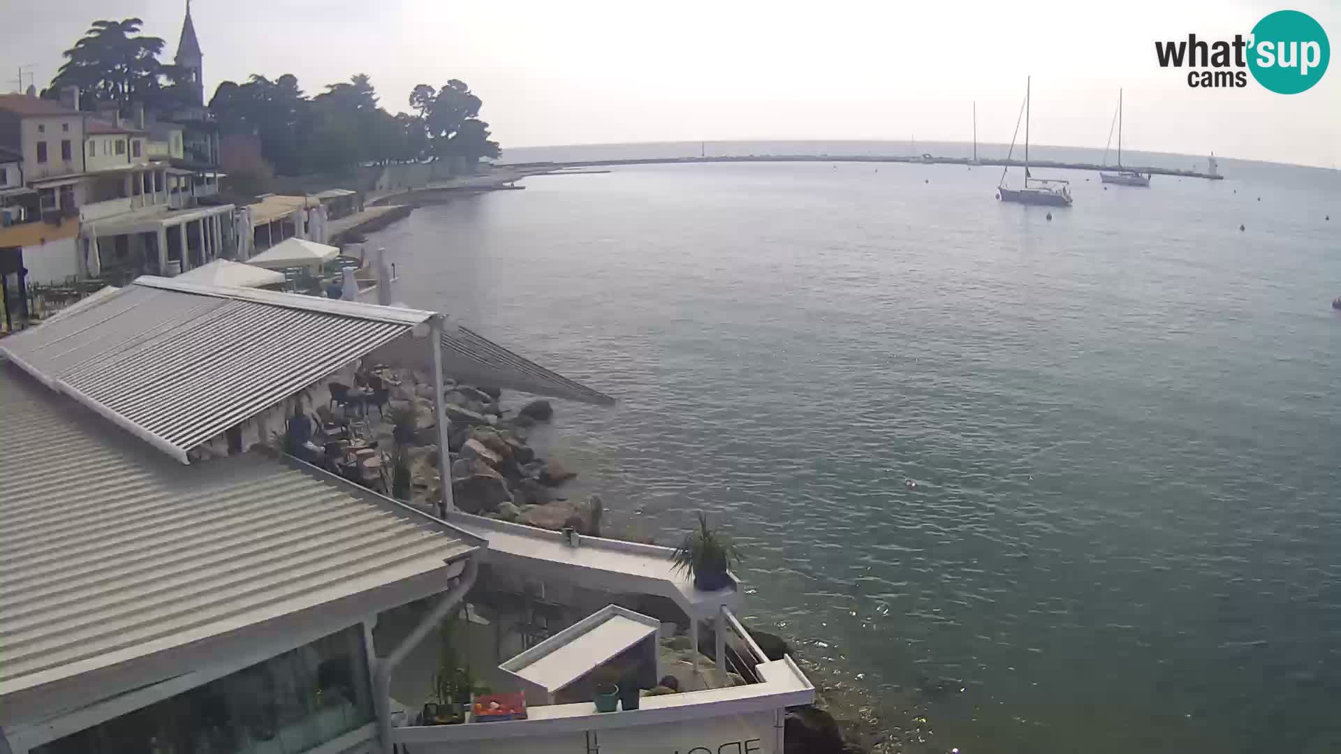 V živo Novigrad – Porporela