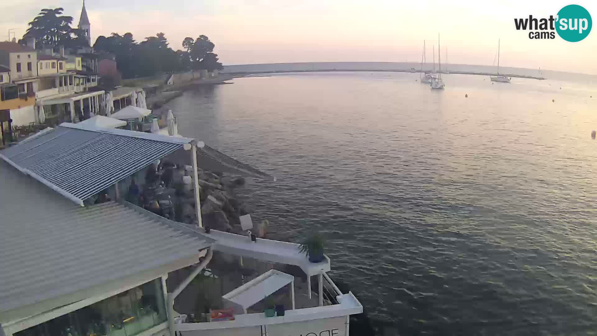 V živo Novigrad – Porporela
