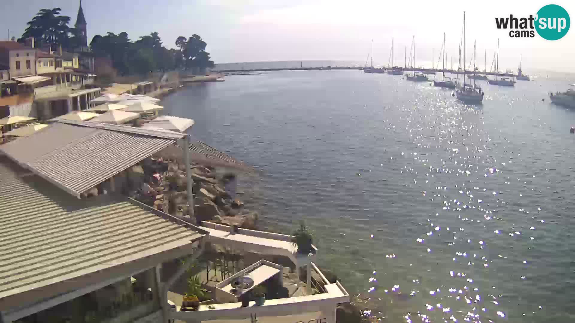Live webcam Novigrad – Porporela – Istria – Croatia