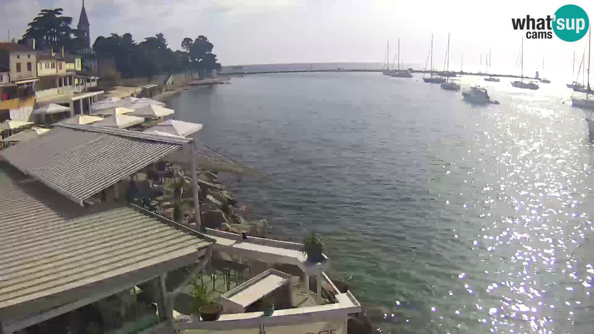 LIVE cam Novigrad – Porporela