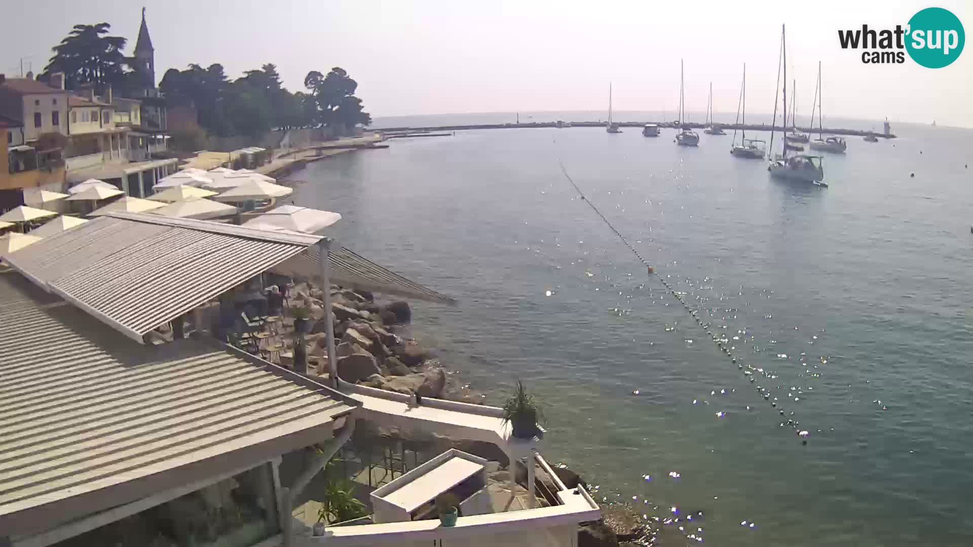 Live webcam Novigrad – Porporela – Istria – Croatia