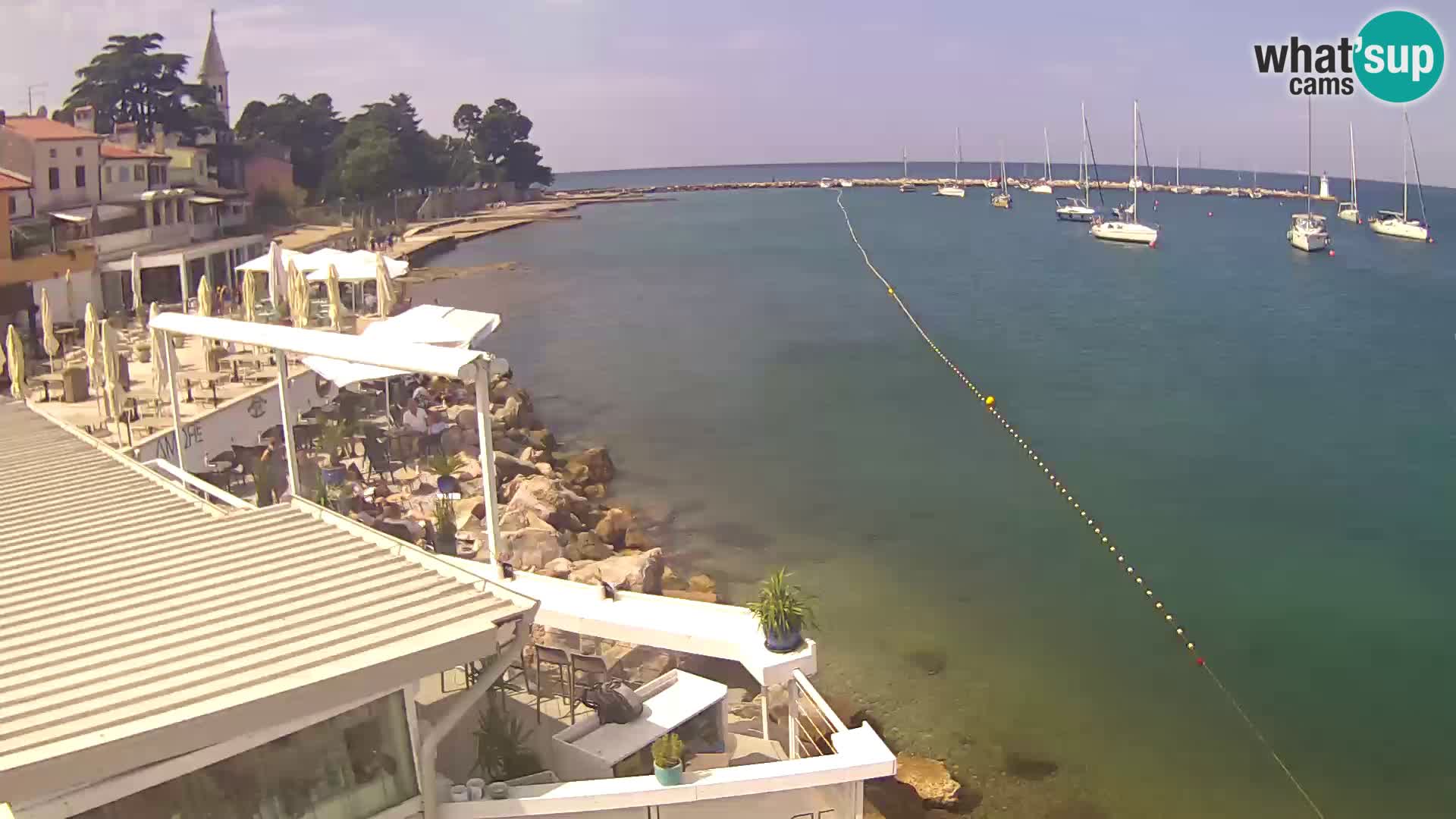 Live webcam Novigrad – Porporela – Istria – Croatia