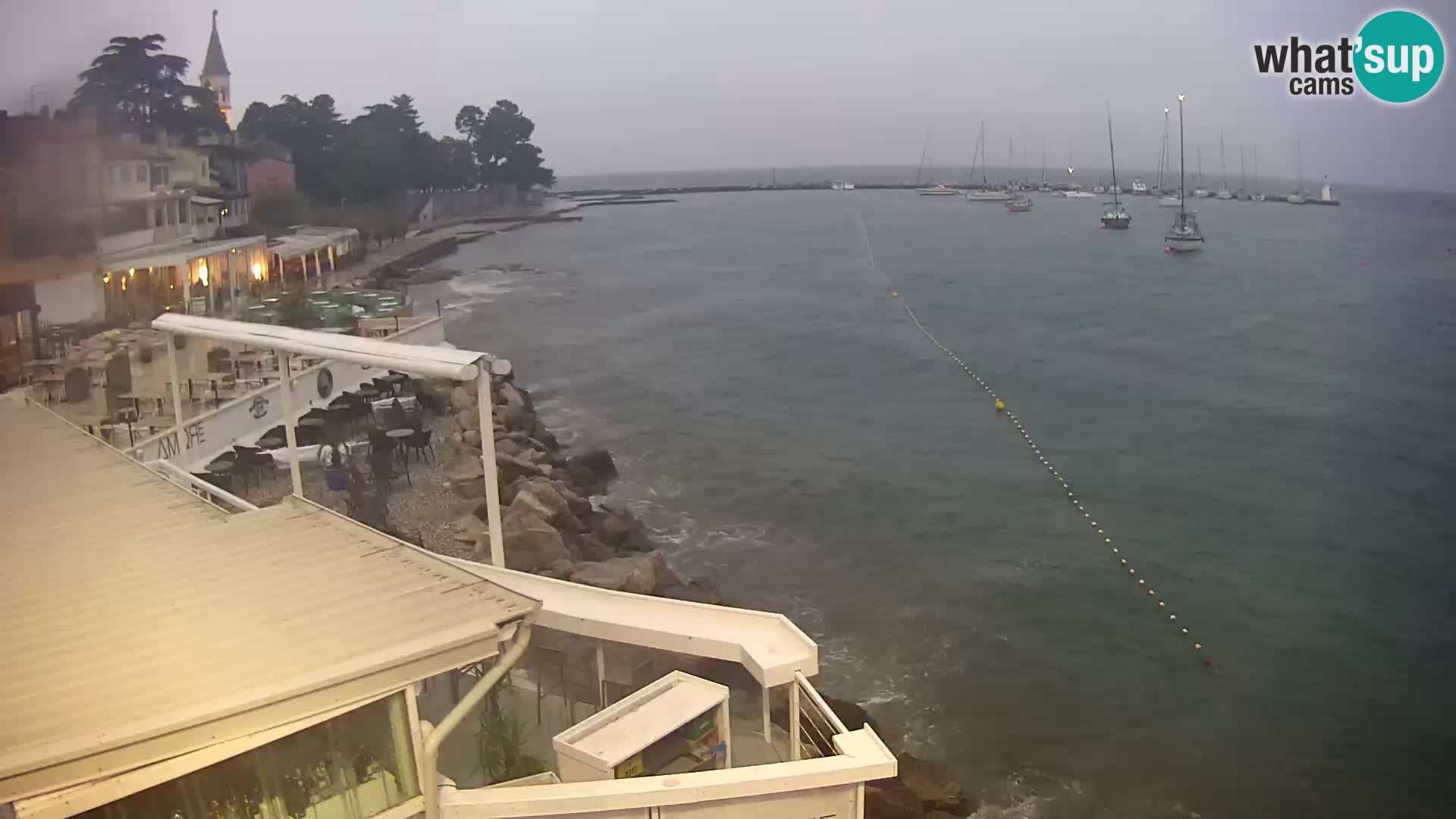 V živo Novigrad – Porporela