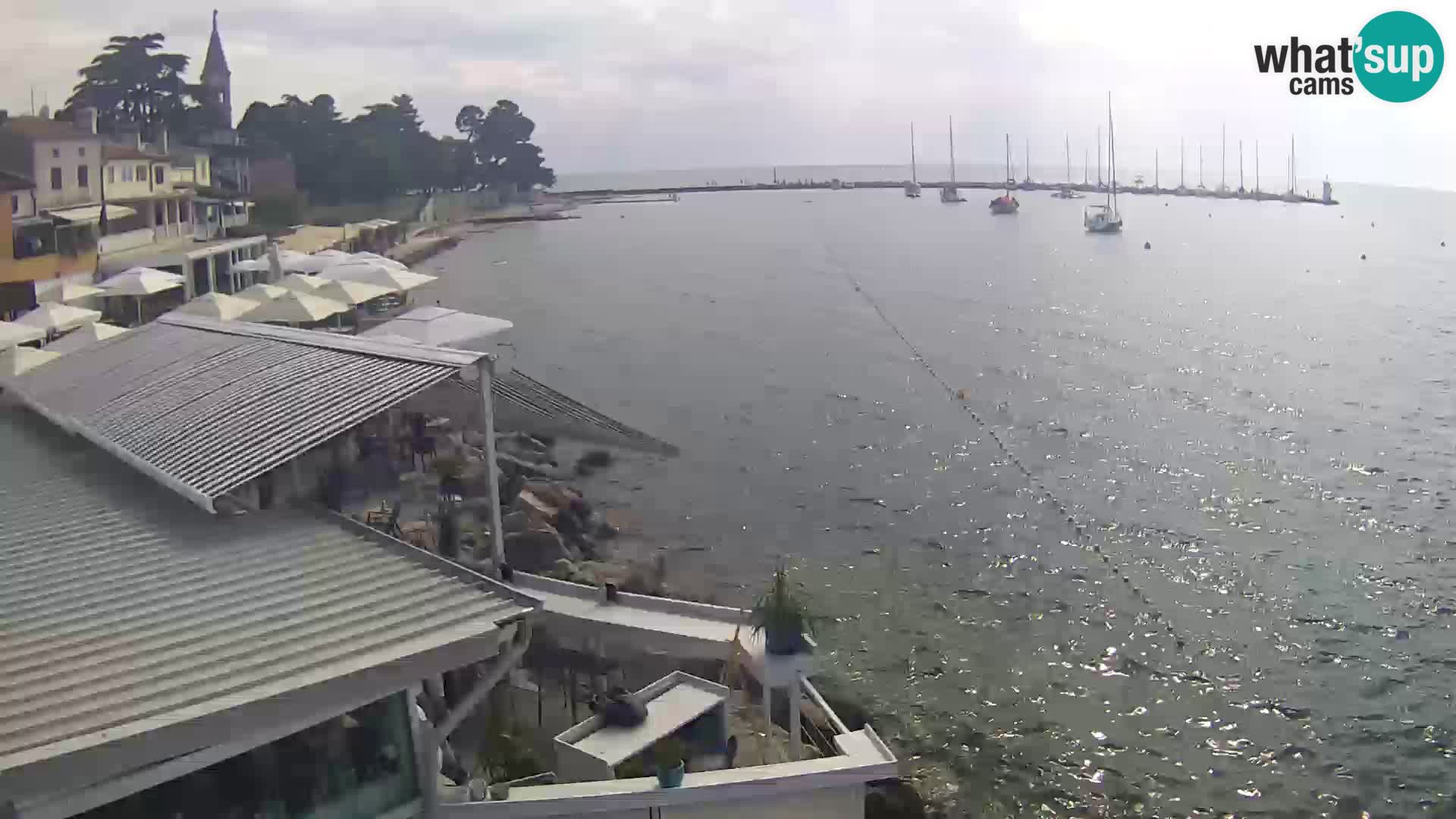 Novigrad live webcam – Porporela