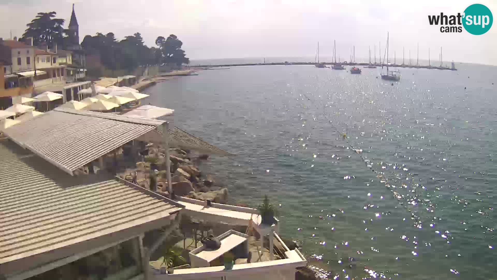 Novigrad – Porporela