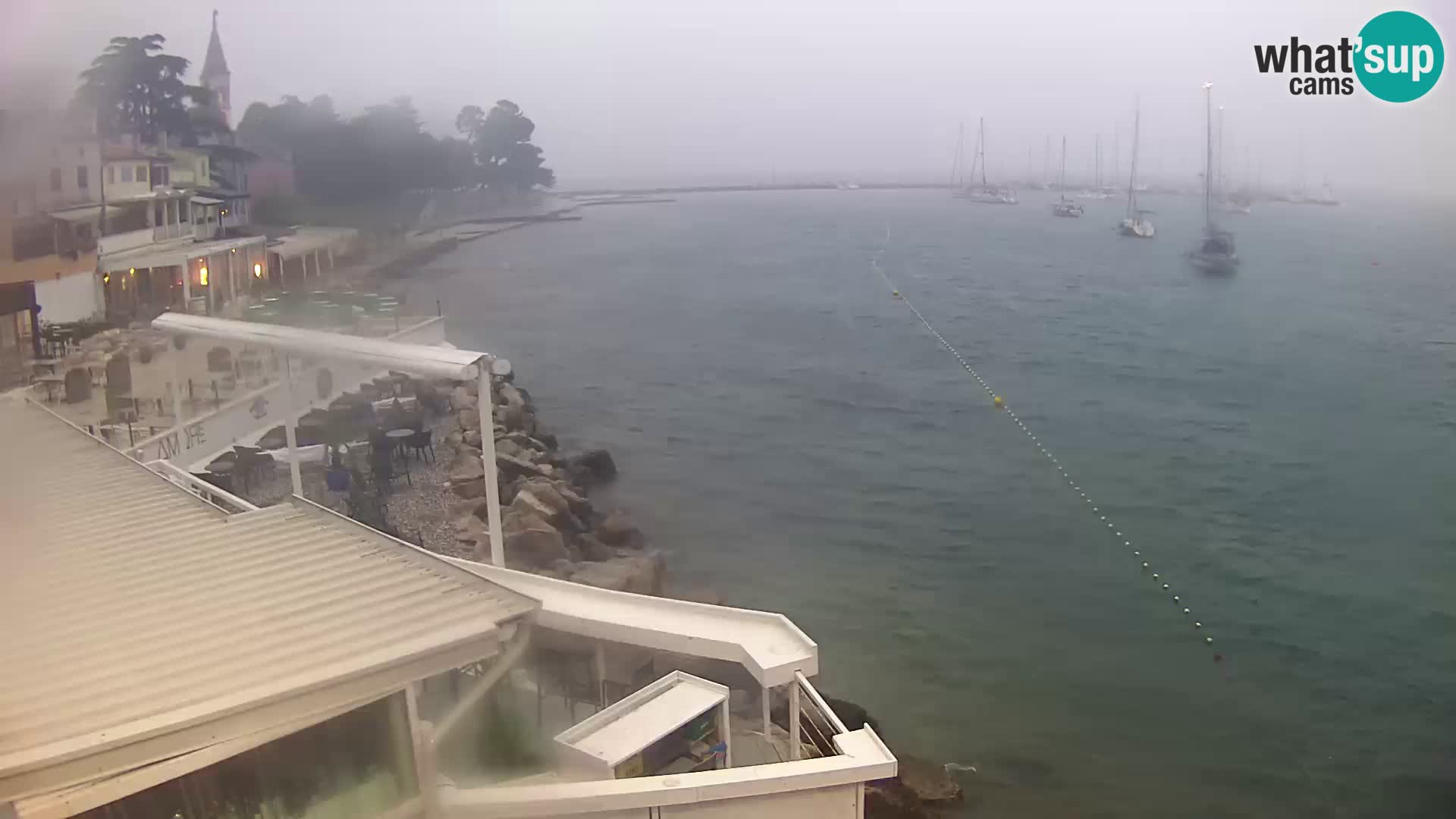 V živo Novigrad – Porporela