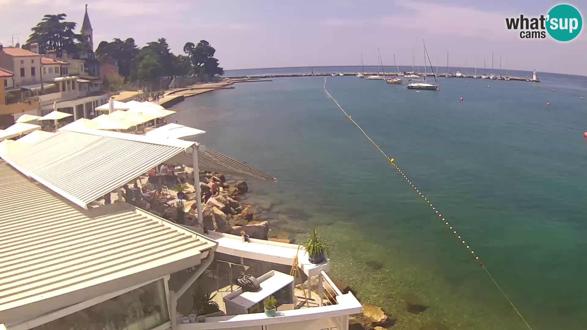 V živo Novigrad – Porporela