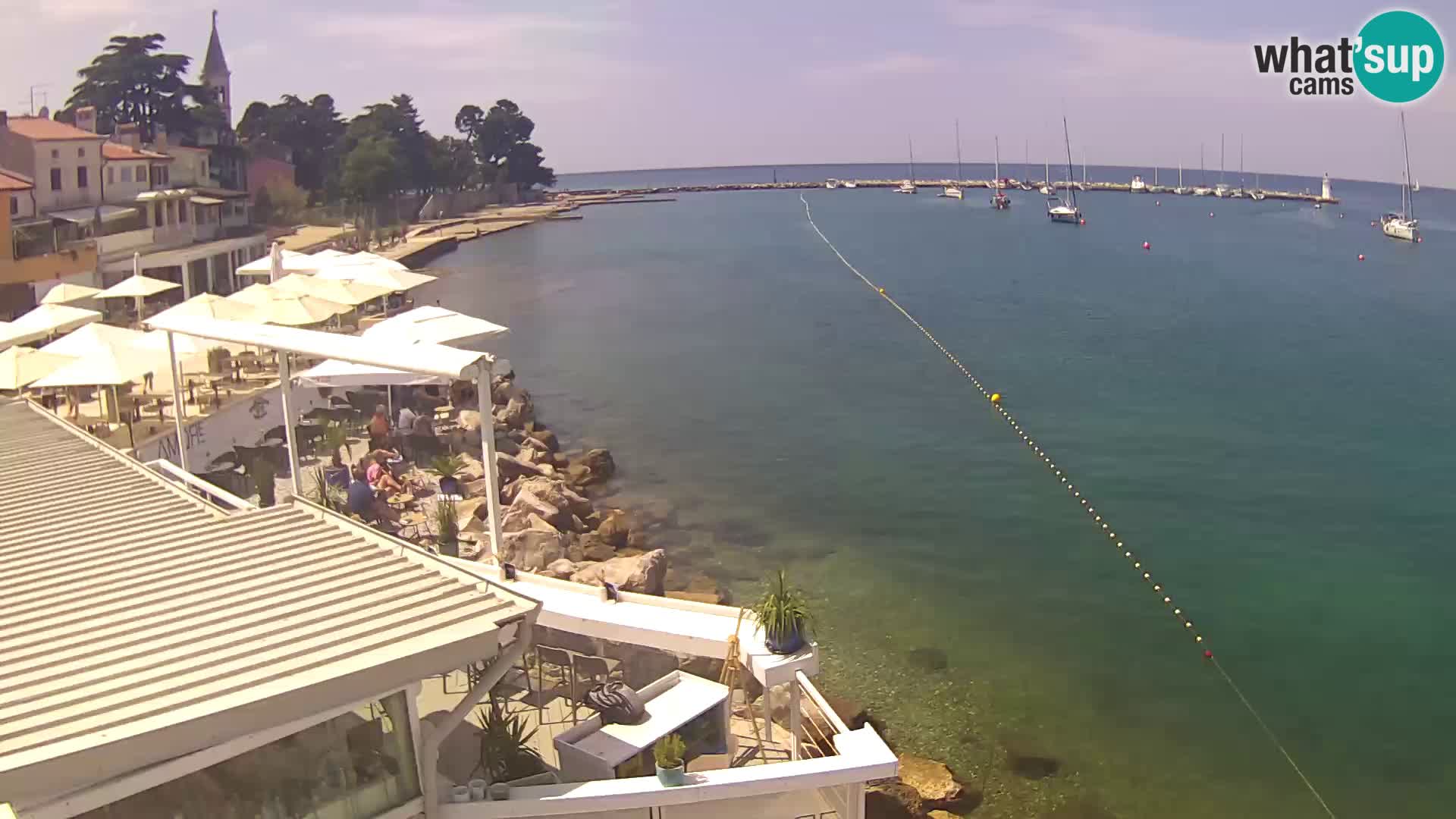 Novigrad live webcam – Porporela