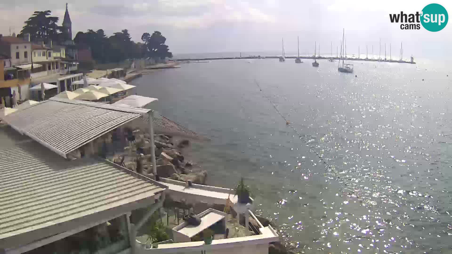 V živo Novigrad – Porporela