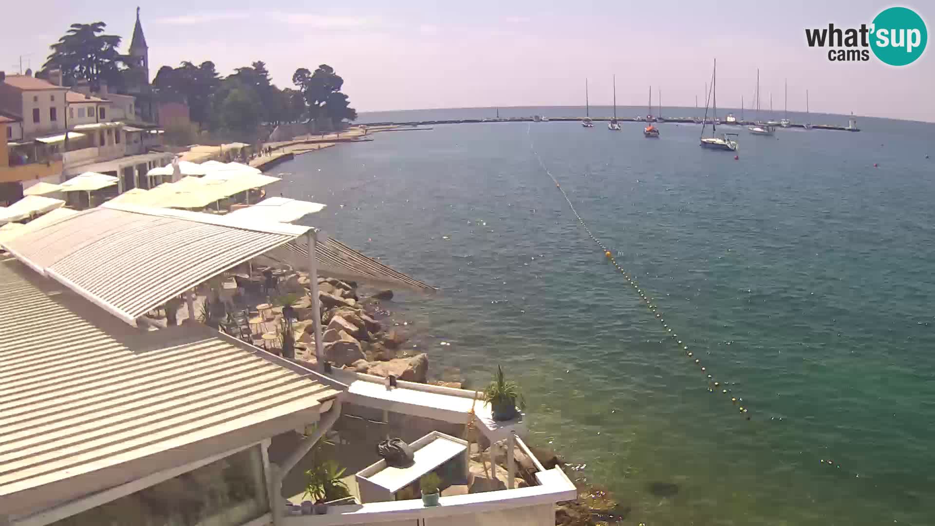 Novigrad live webcam – Porporela