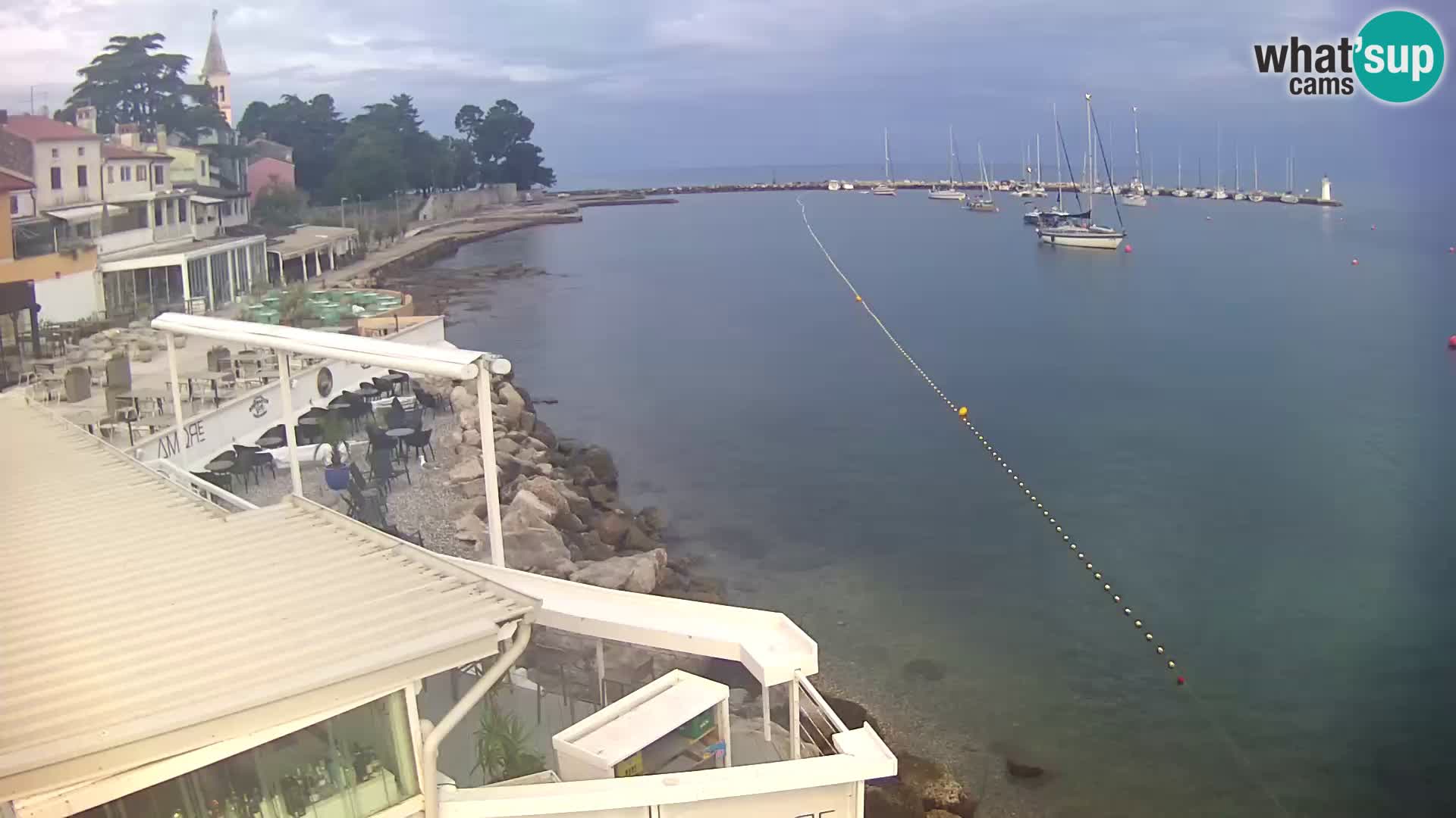 V živo Novigrad – Porporela