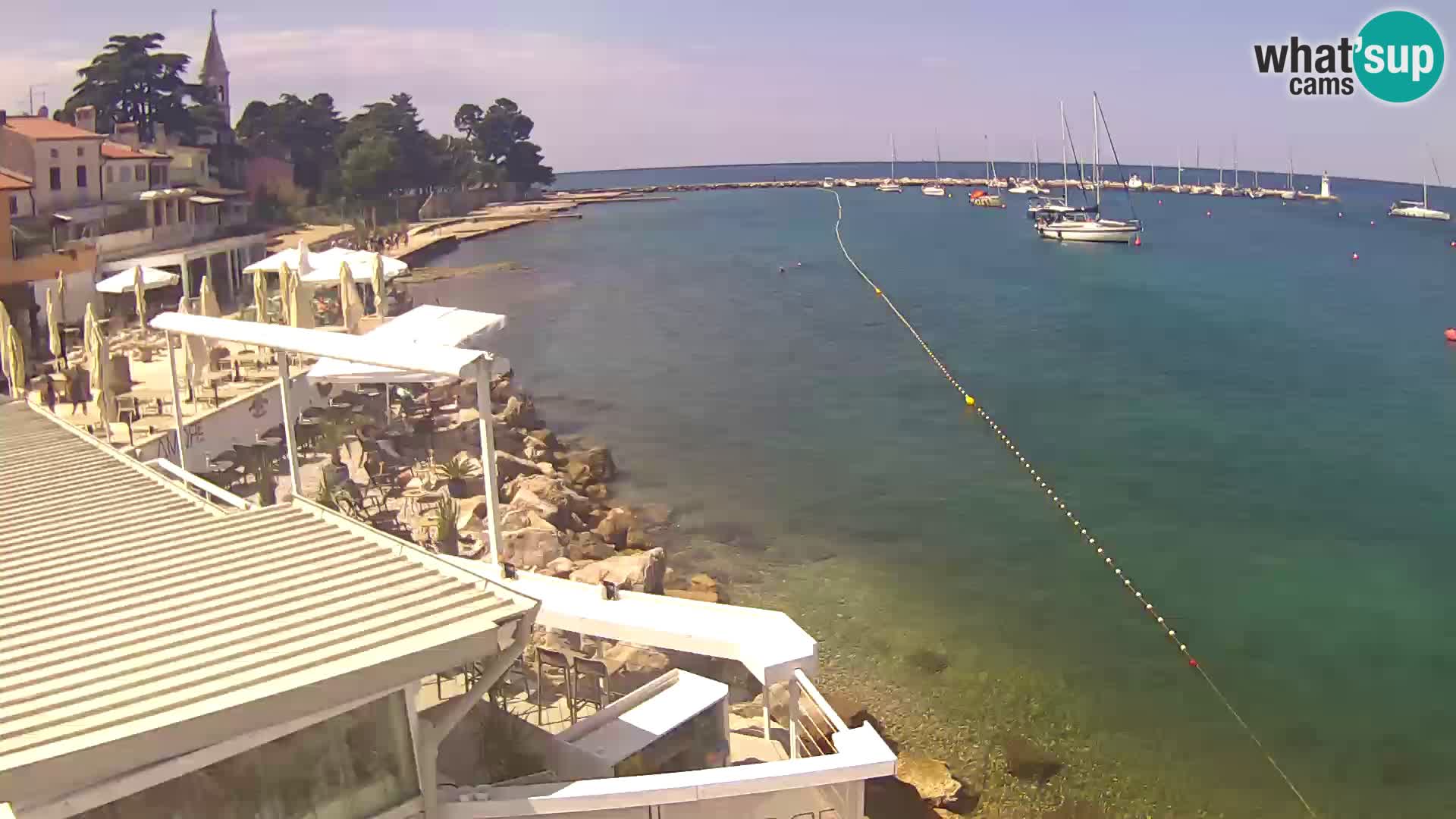 Novigrad – Porporela