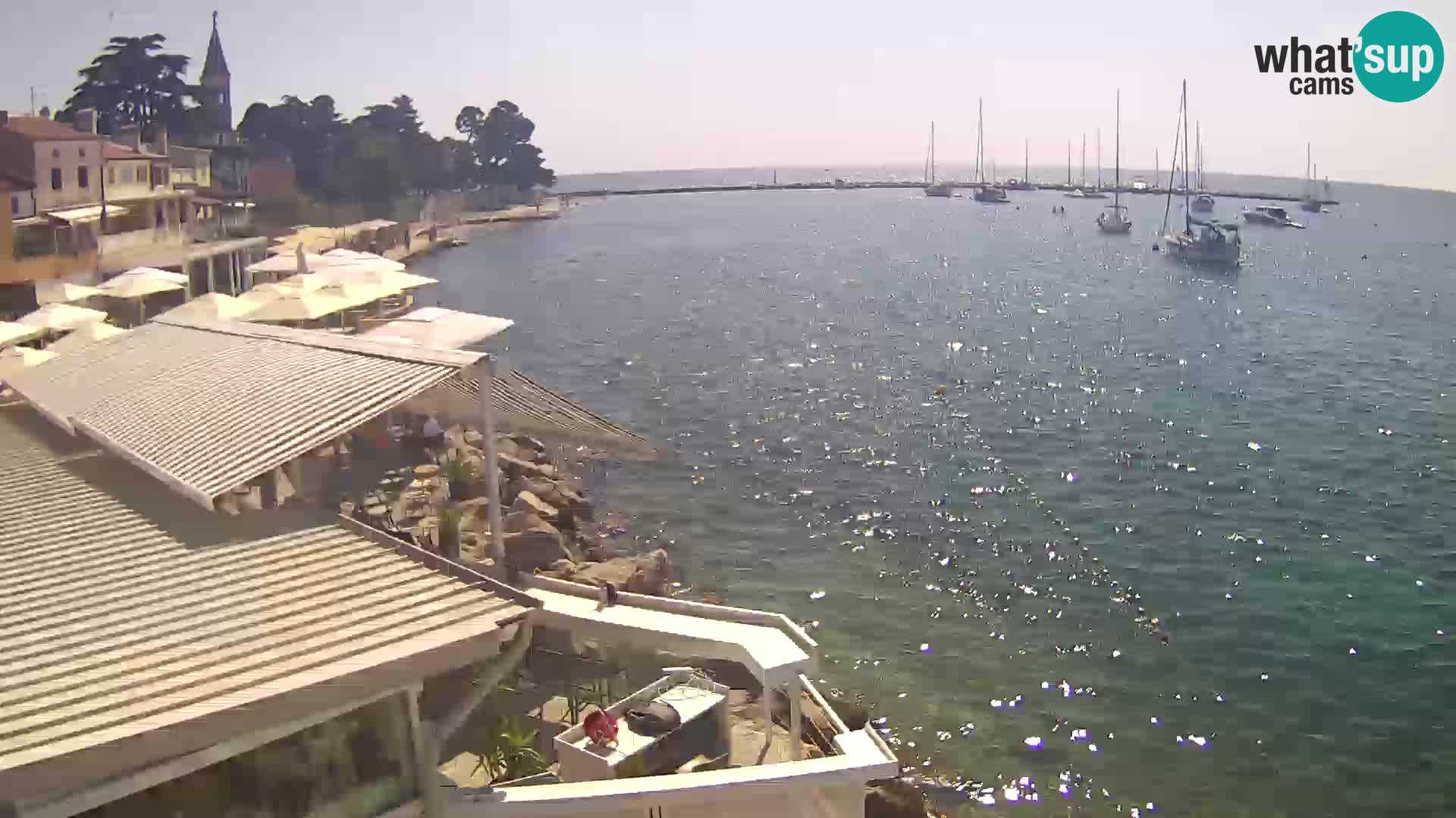 Live webcam Novigrad – Porporela – Istria – Croatia